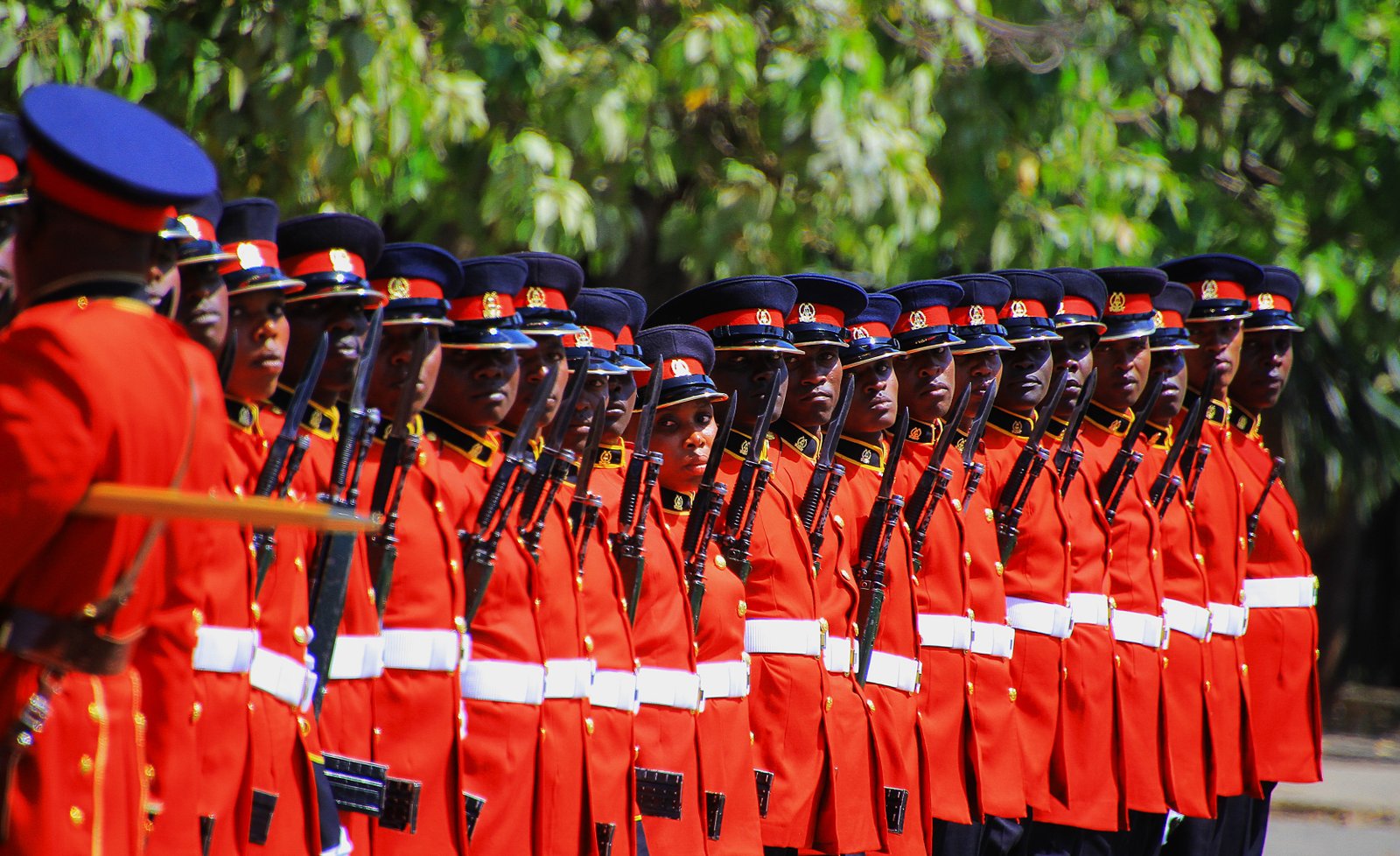 Kenya Defence Forces