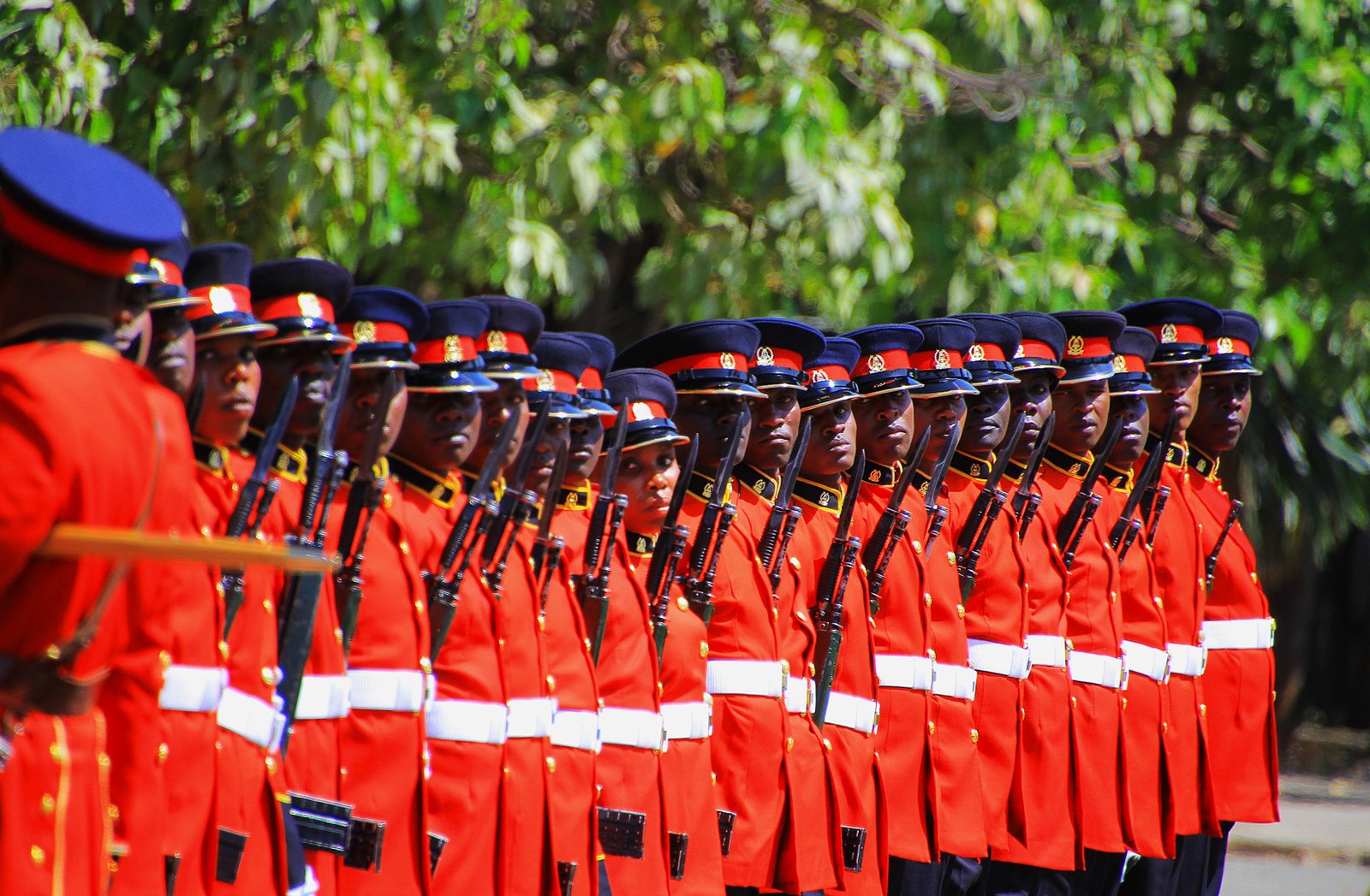Kenya Defence Forces