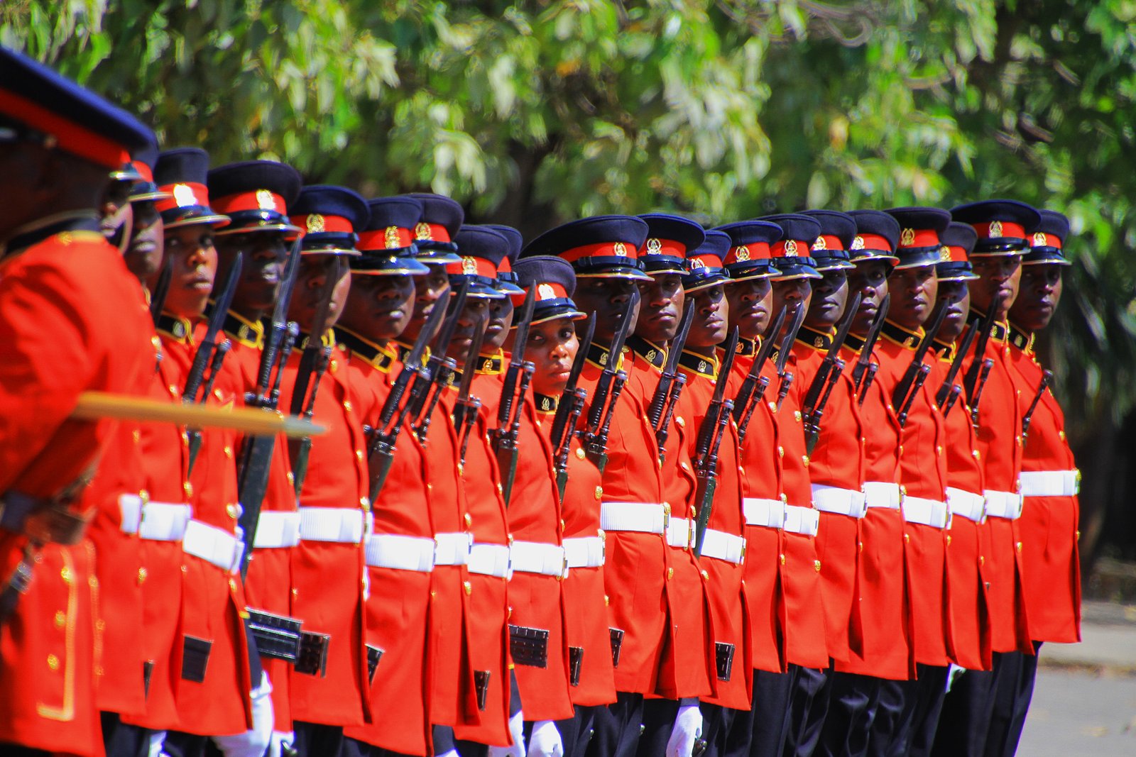 Kenya Defence Forces