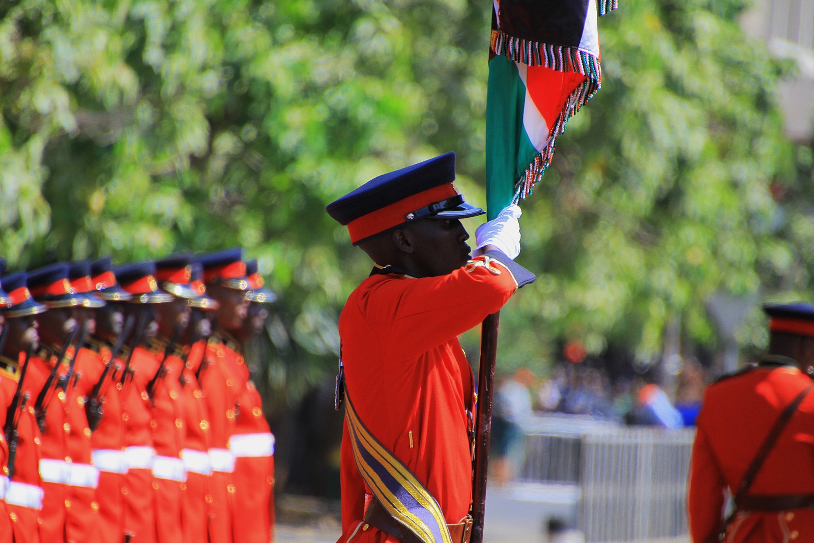 Kenya Defence Forces