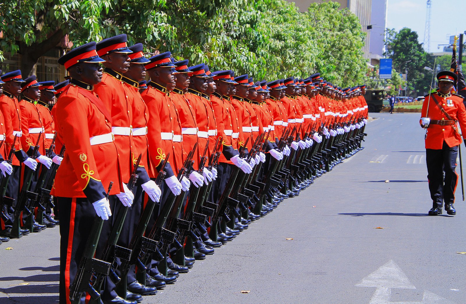 Kenya Defence Forces