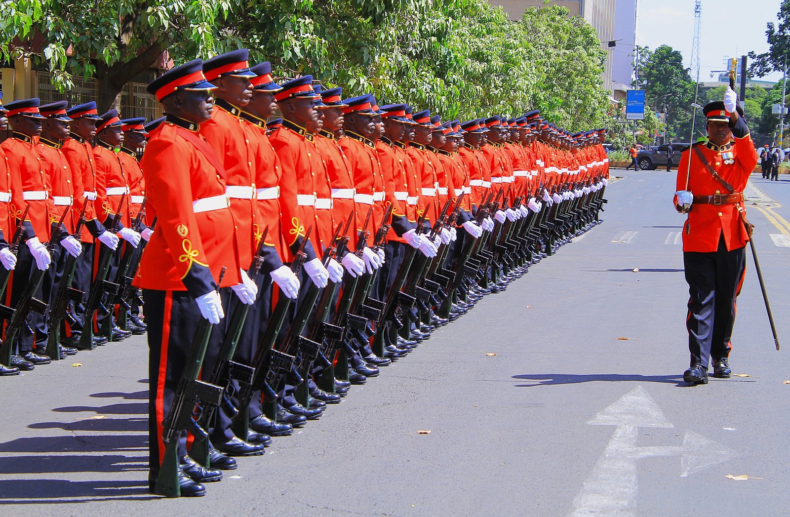 Kenya Defence Forces