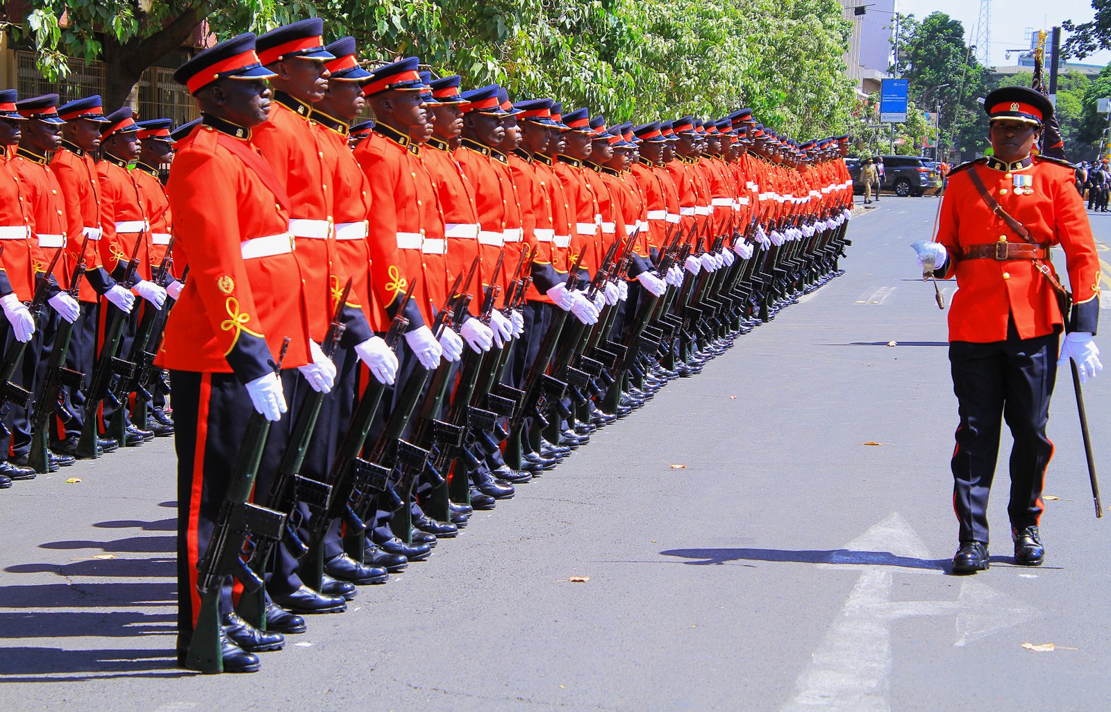Kenya Defence Forces