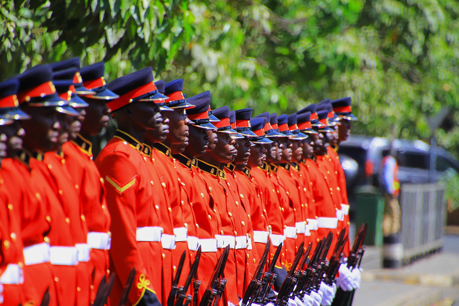 Kenya Defence Forces