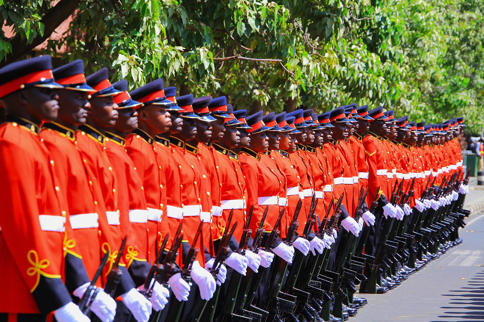 Kenya Defence Forces