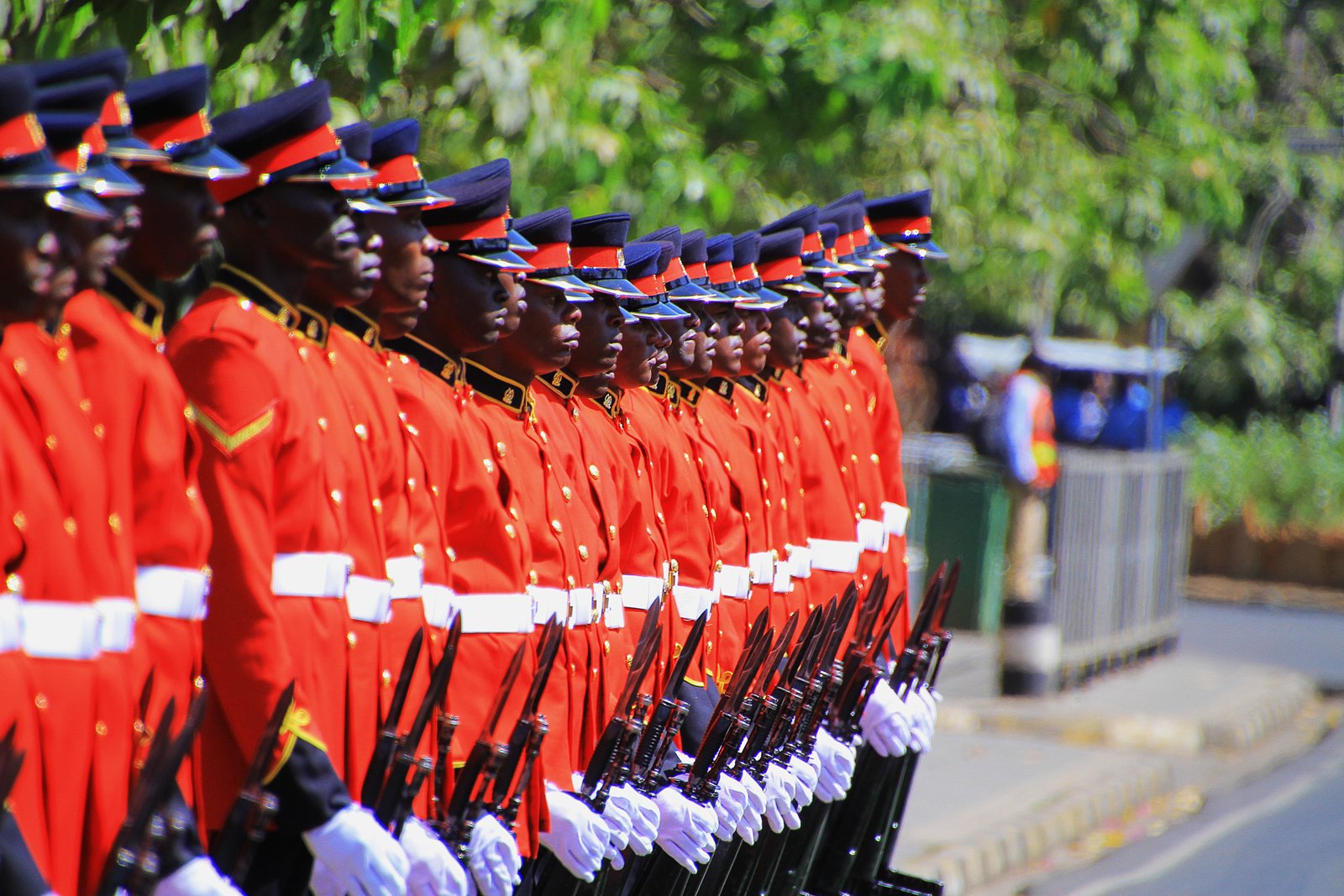 Kenya Defence Forces