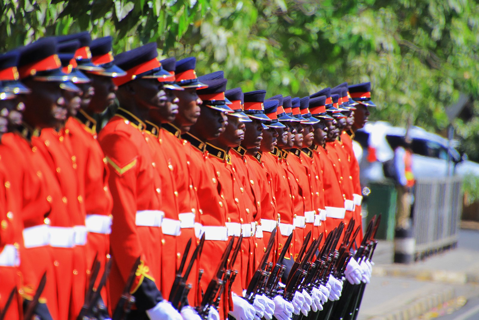 Kenya Defence Forces