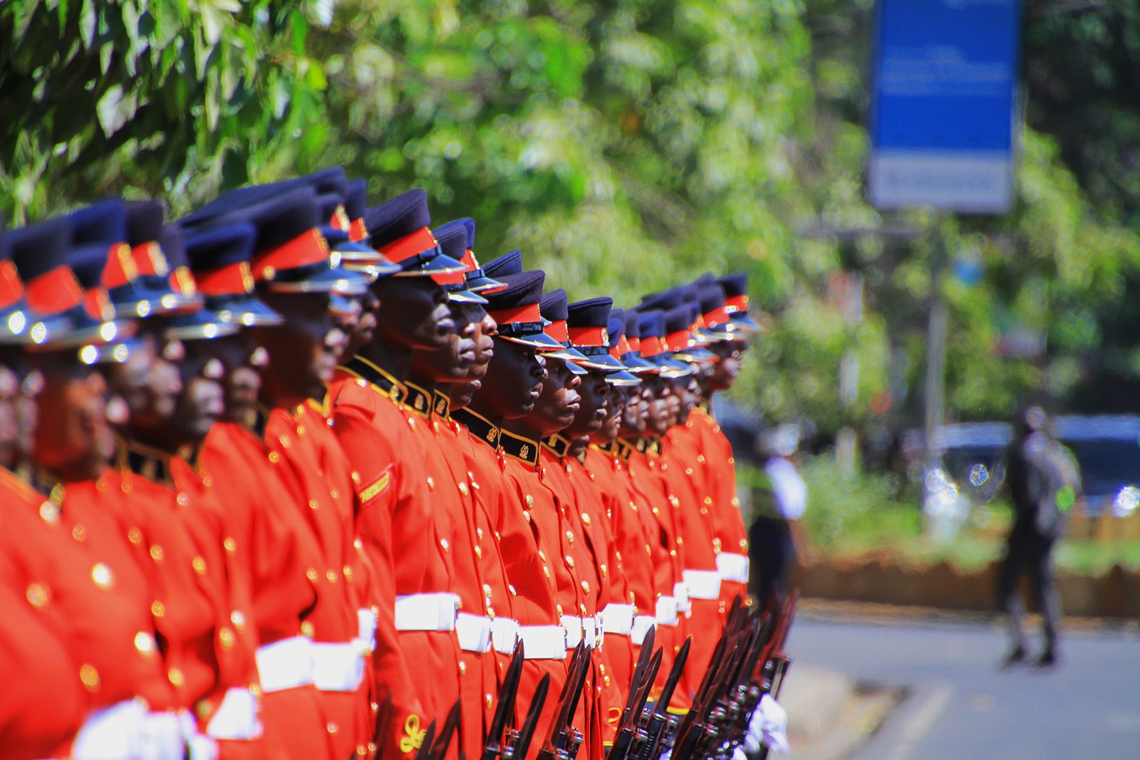 Kenya Defence Forces