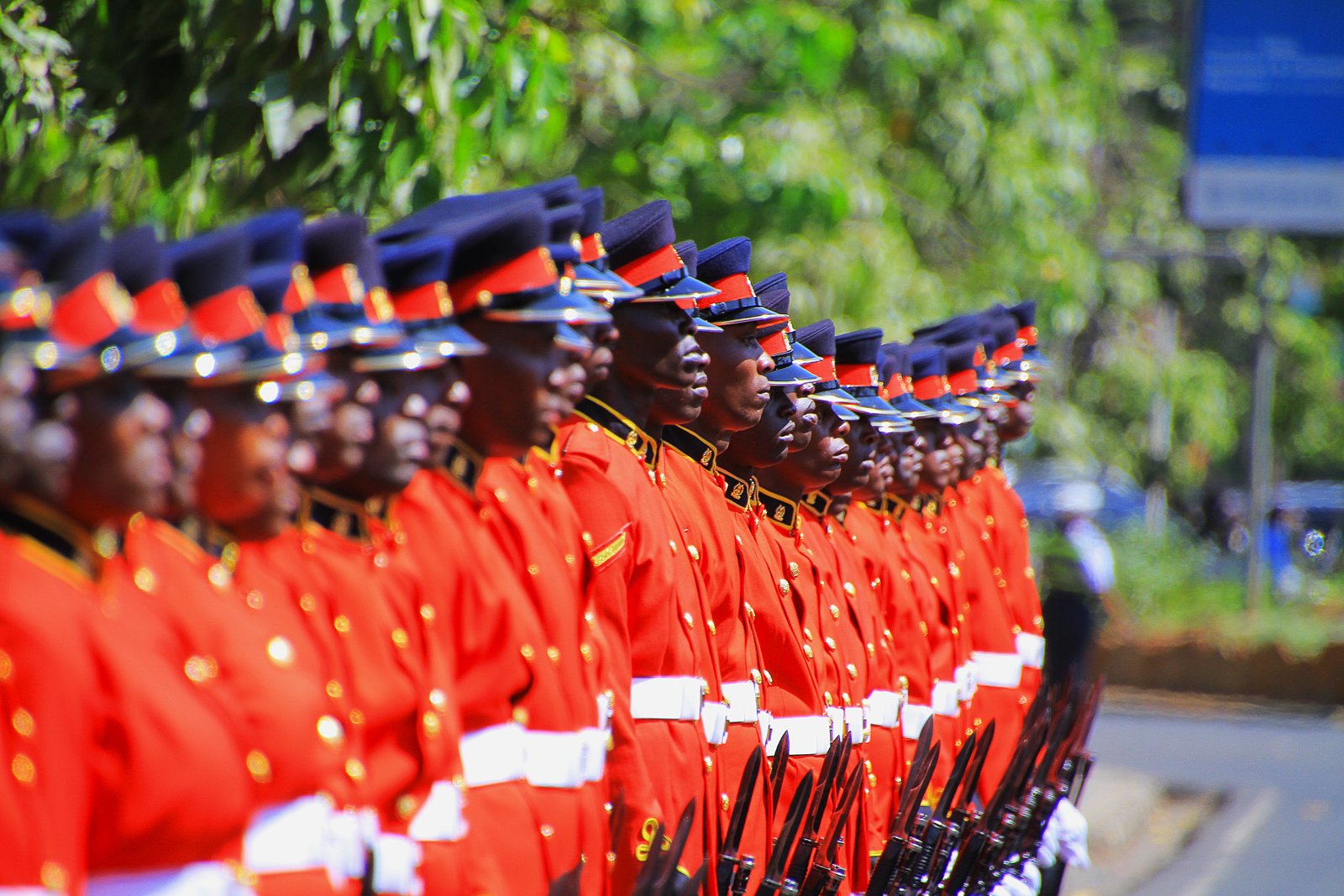 Kenya Defence Forces