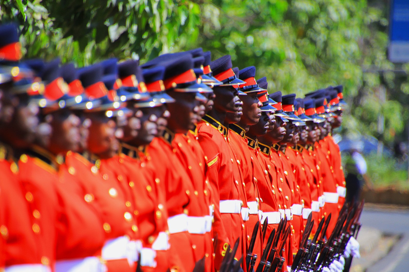 Kenya Defence Forces