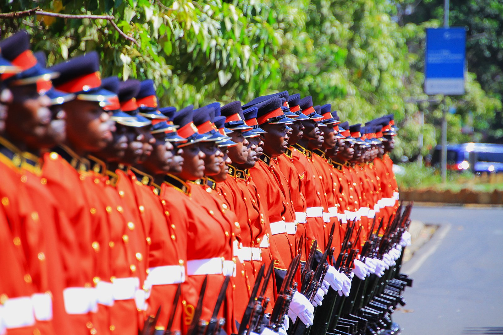 Kenya Defence Forces