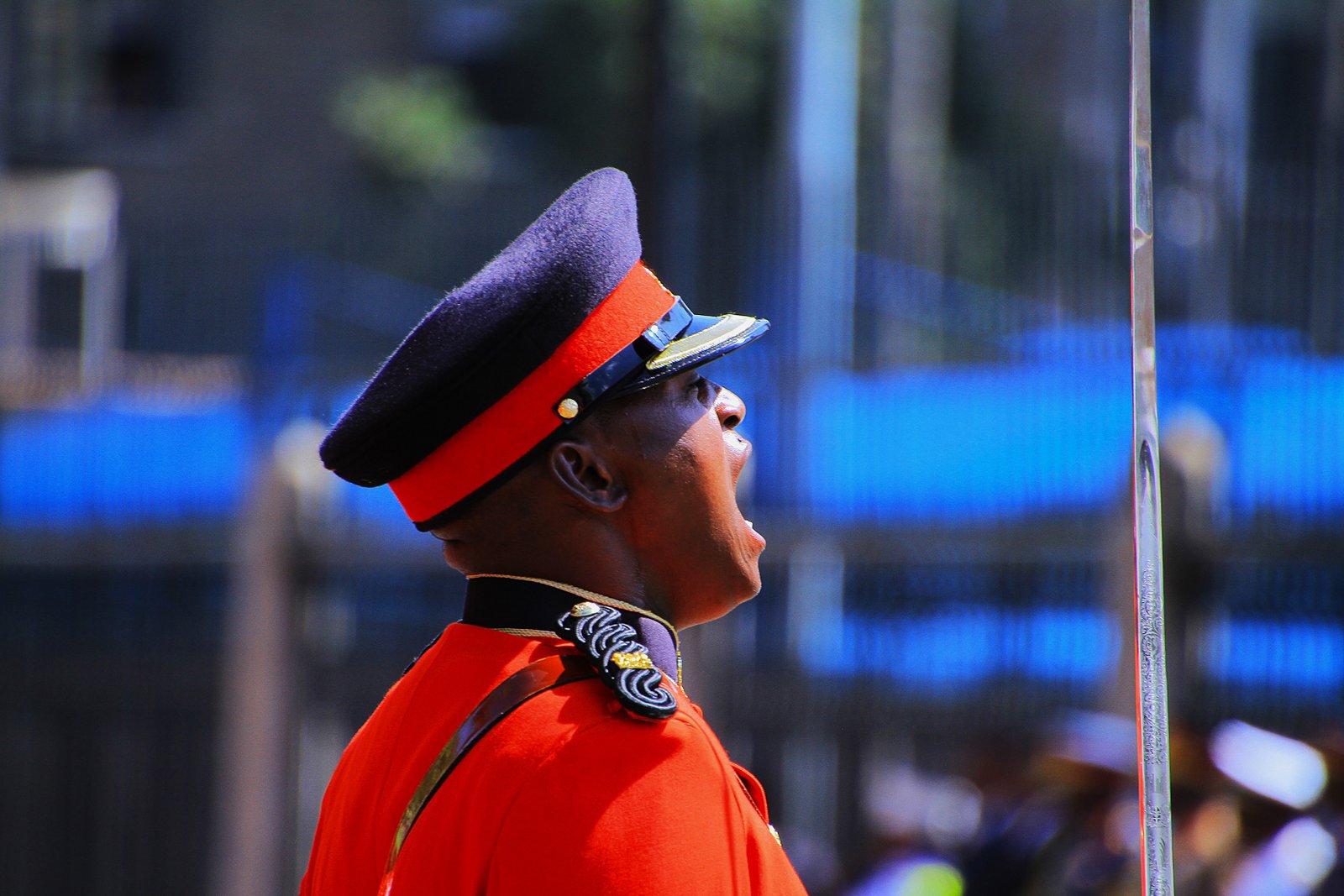 Kenya Defence Forces
