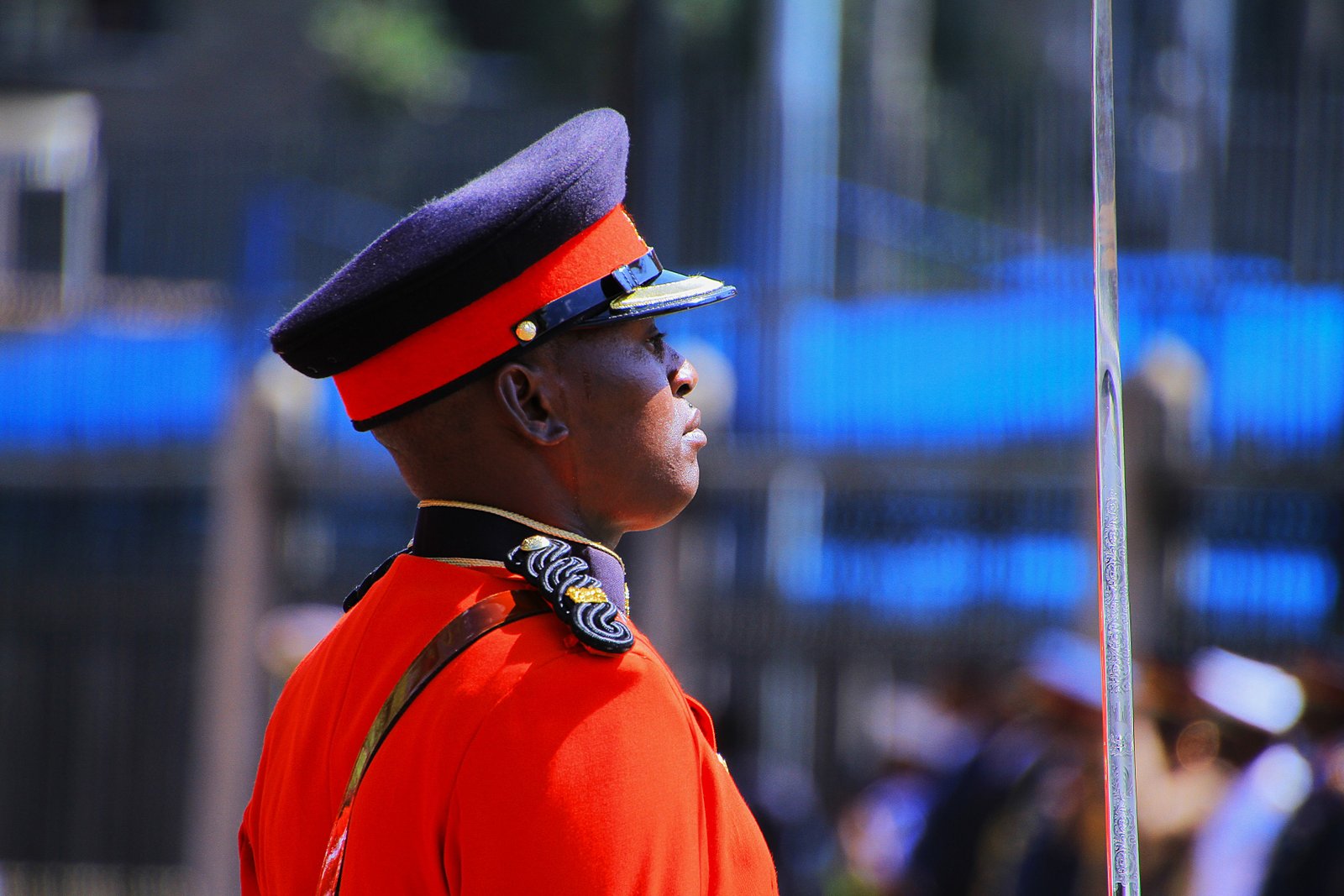 Kenya Defence Forces