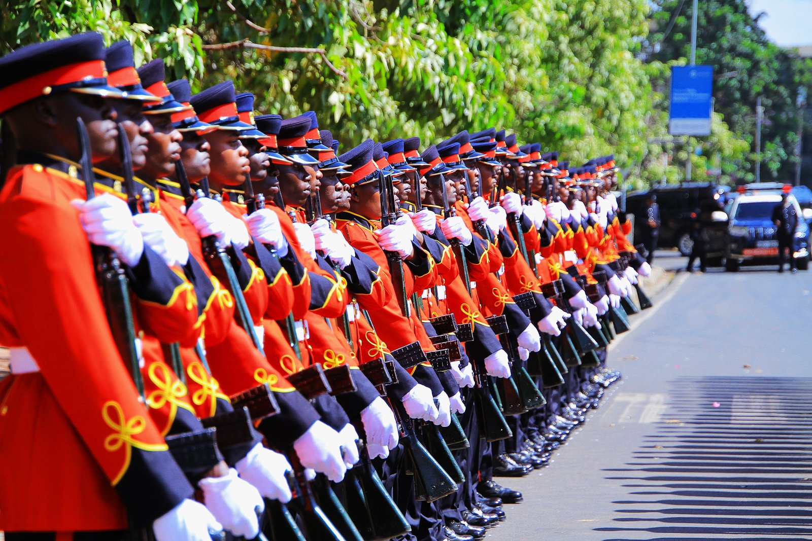 Kenya Defence Force