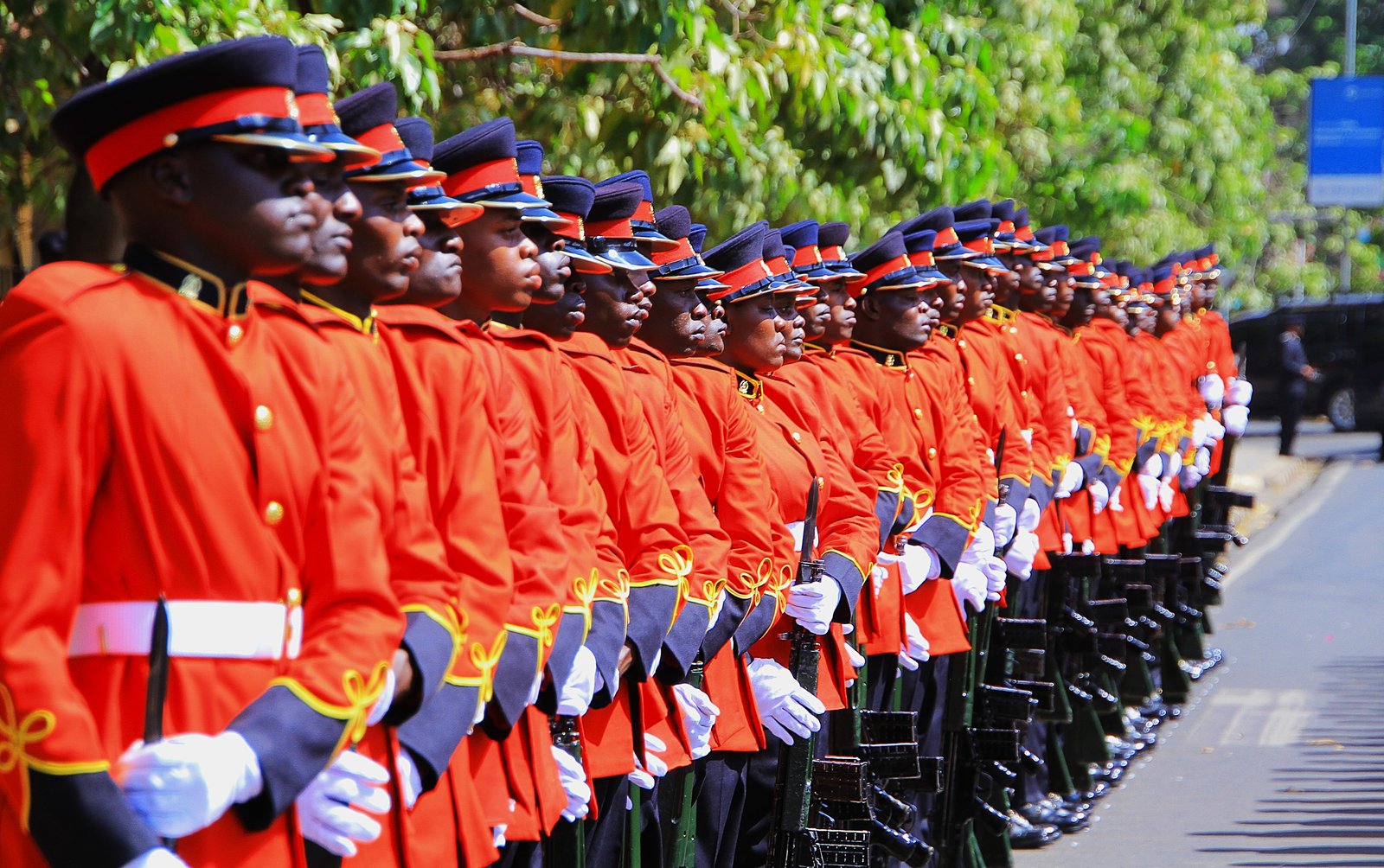 Kenya Defence Force