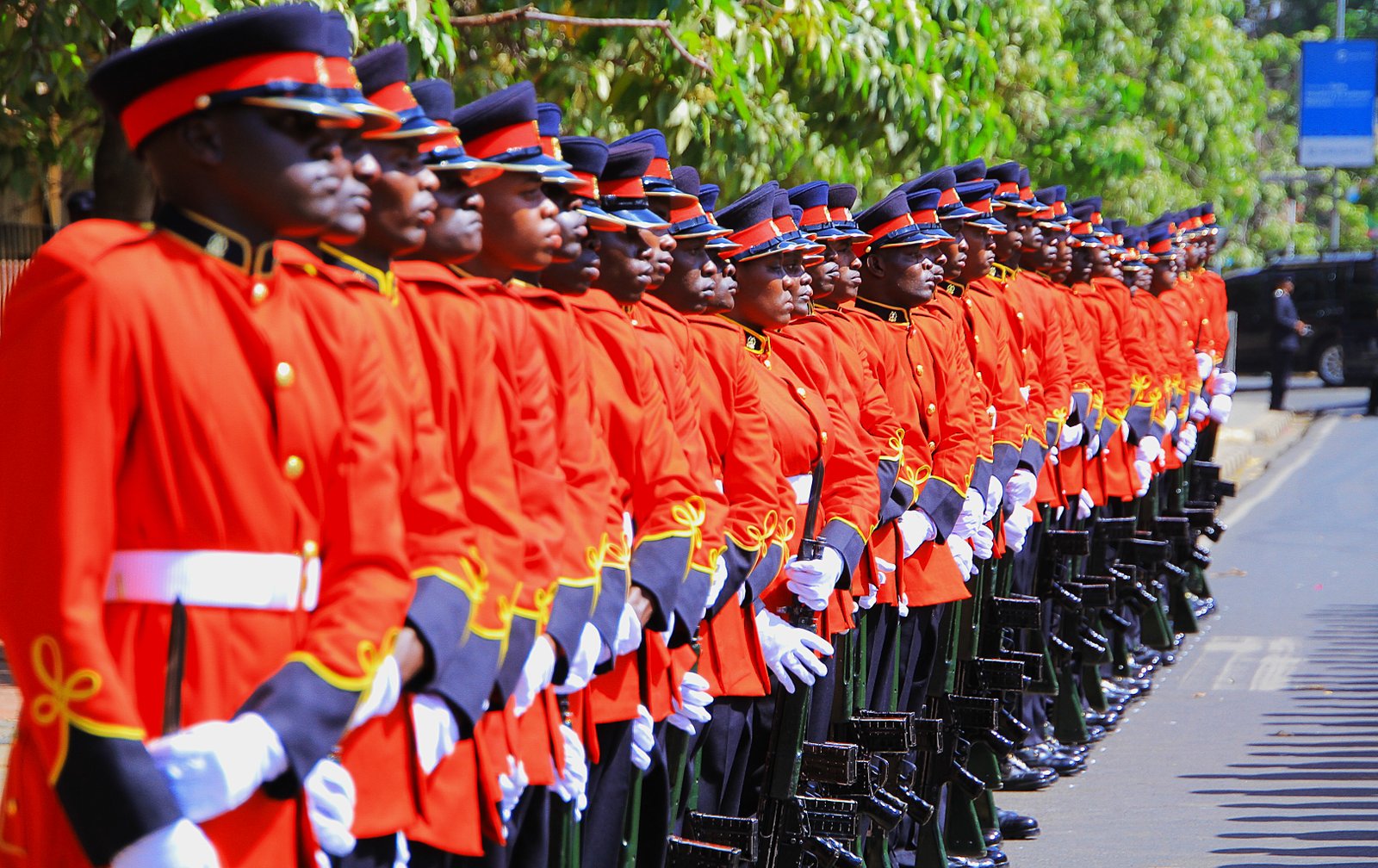 Kenya Defence Force