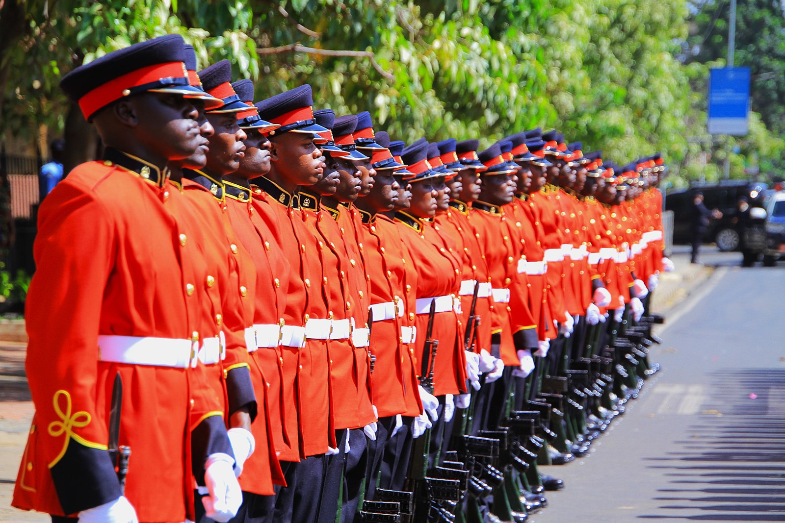 Kenya Defence Force