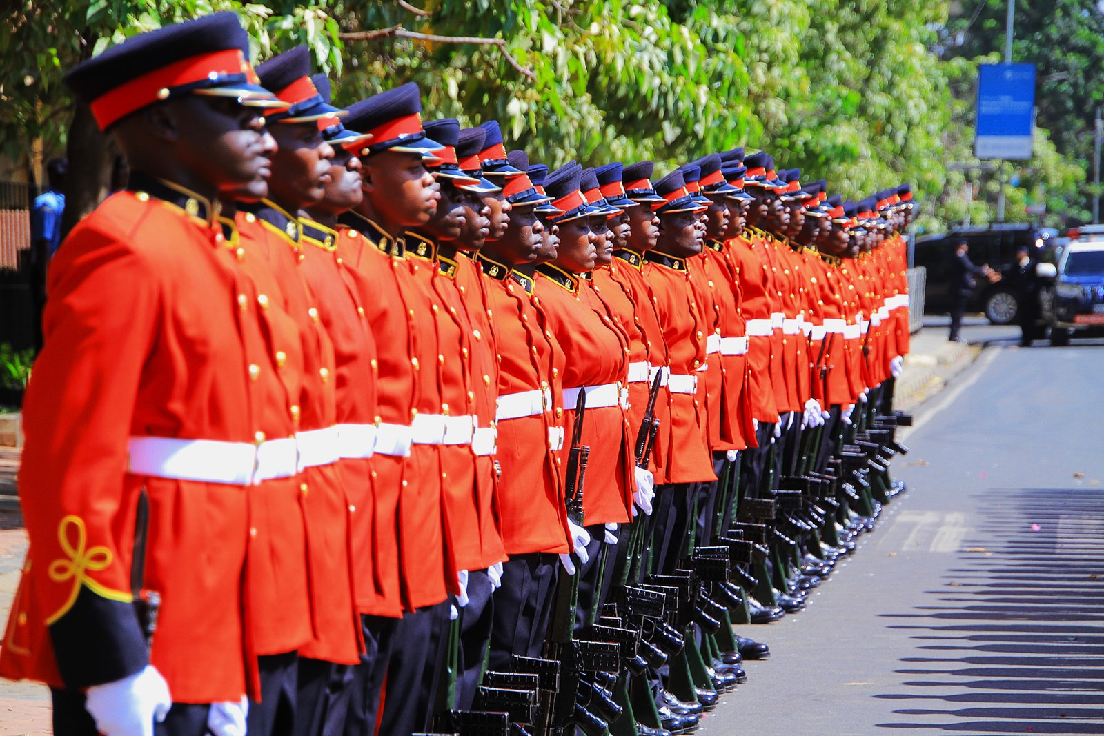 Kenya Defence Force