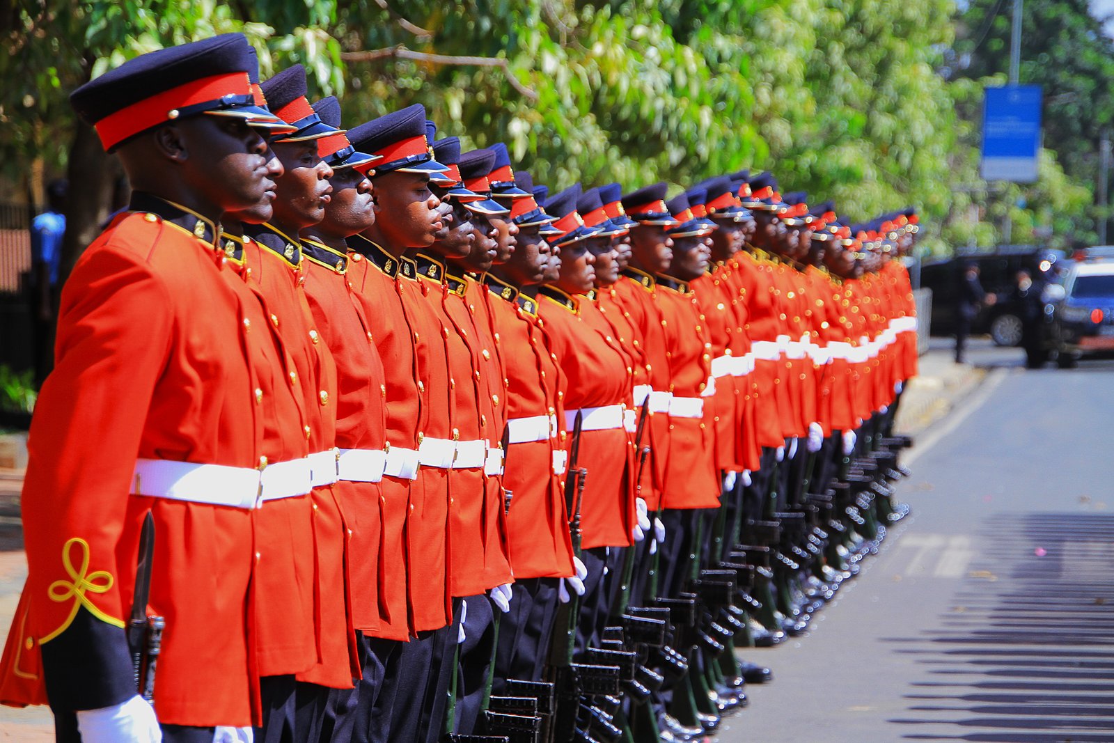 Kenya Defence Force