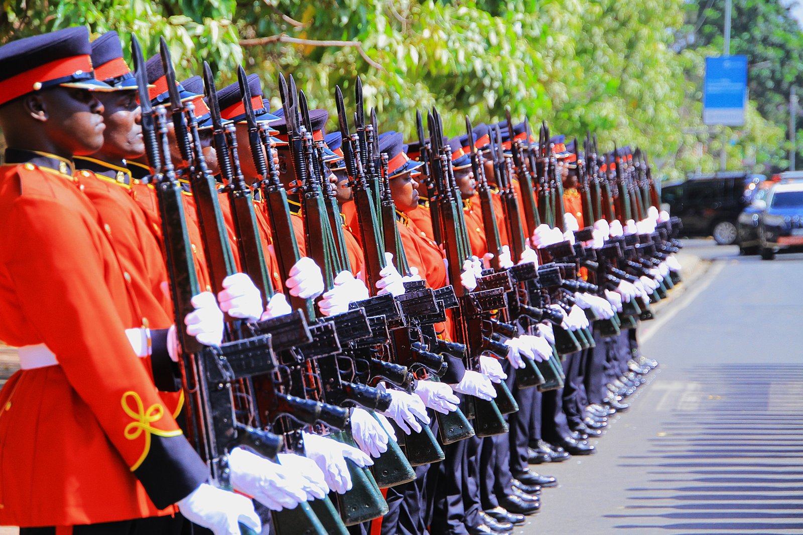 Kenya Defence Forces