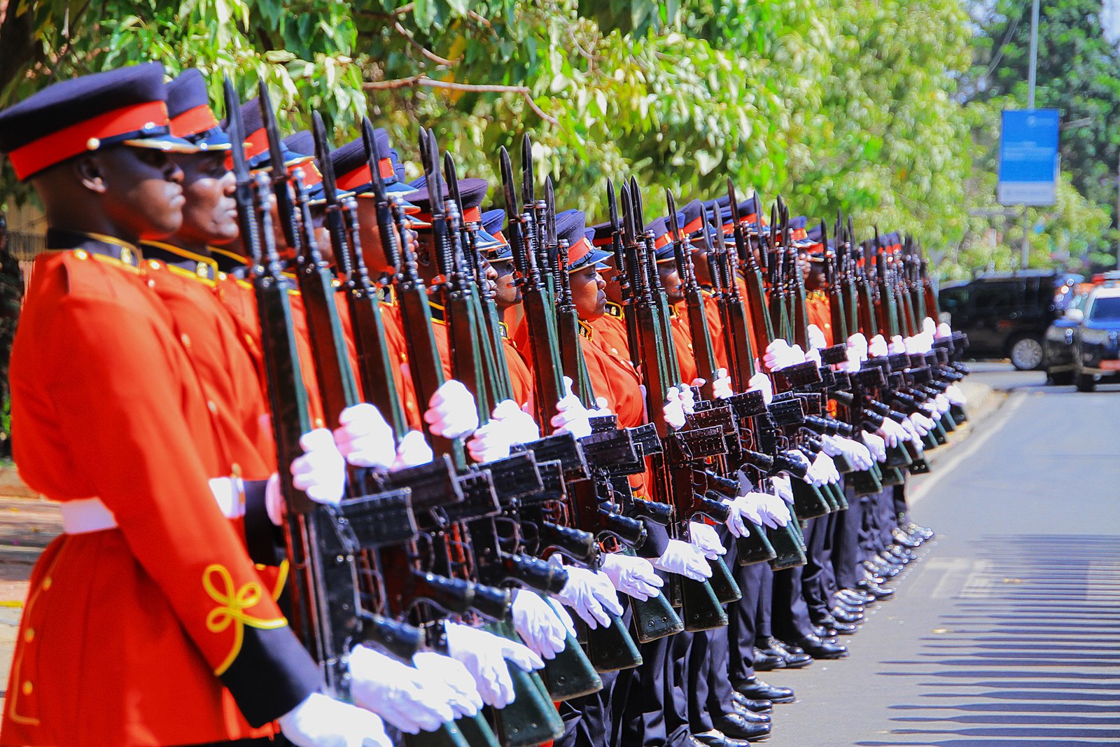 Kenya Defence Forces