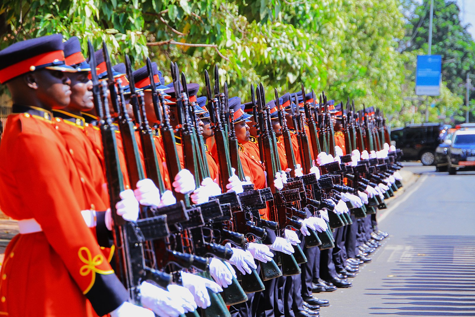 Kenya Defence Forces