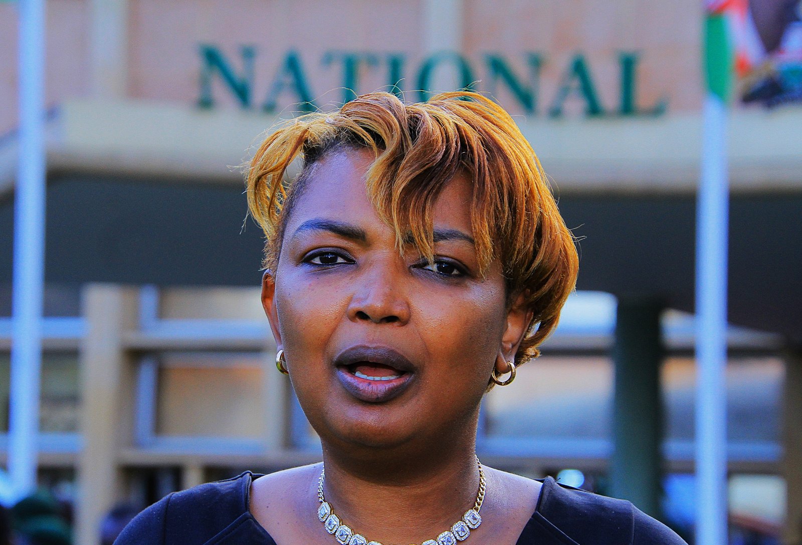 Karen Njeri Nyamu