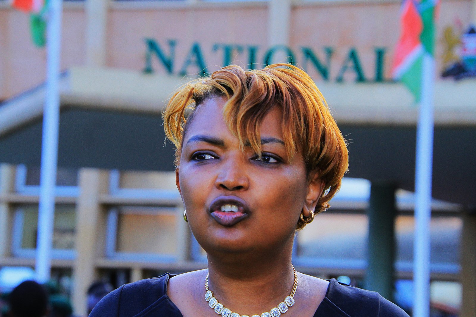 Karen Njeri Nyamu