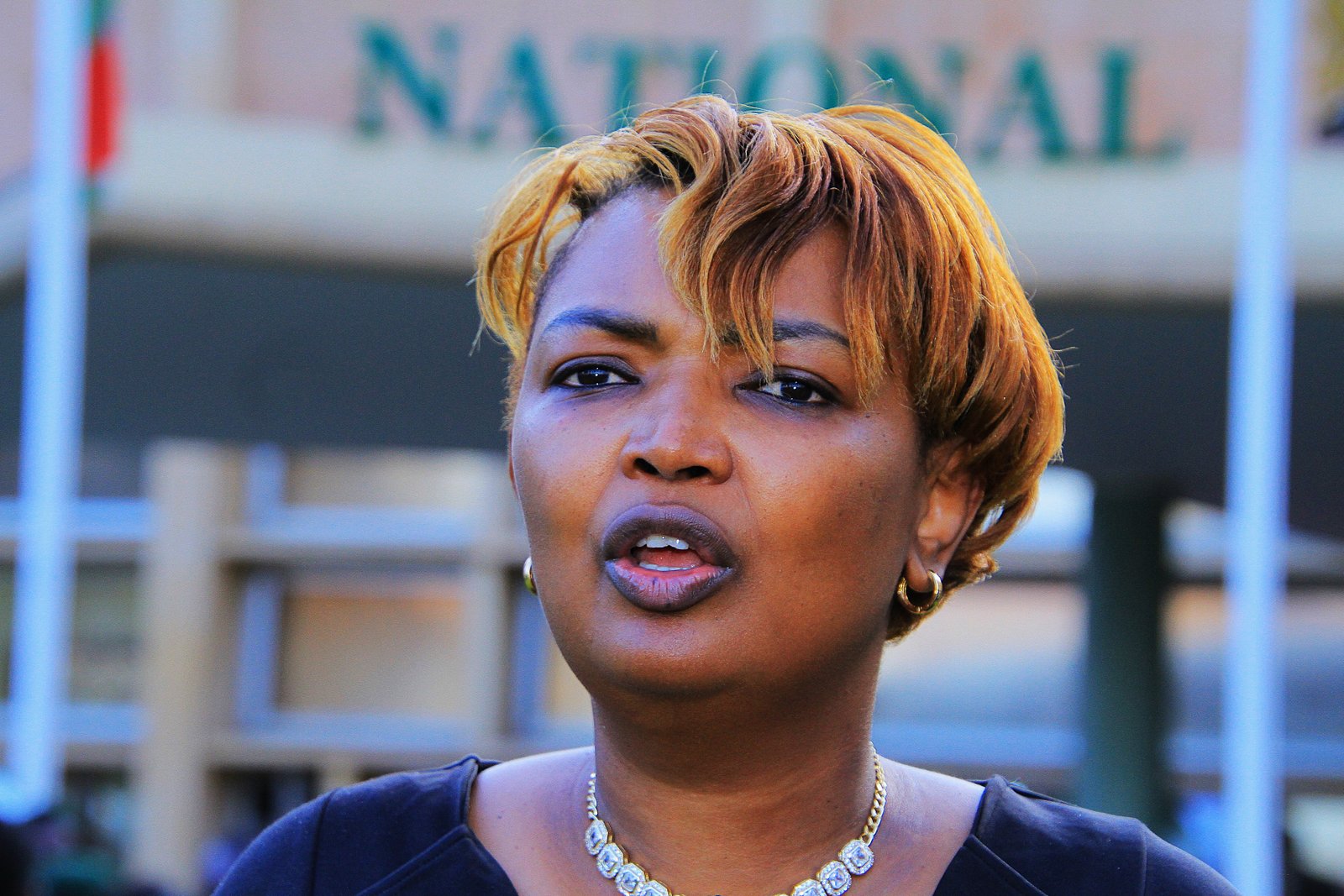Karen Njeri Nyamu