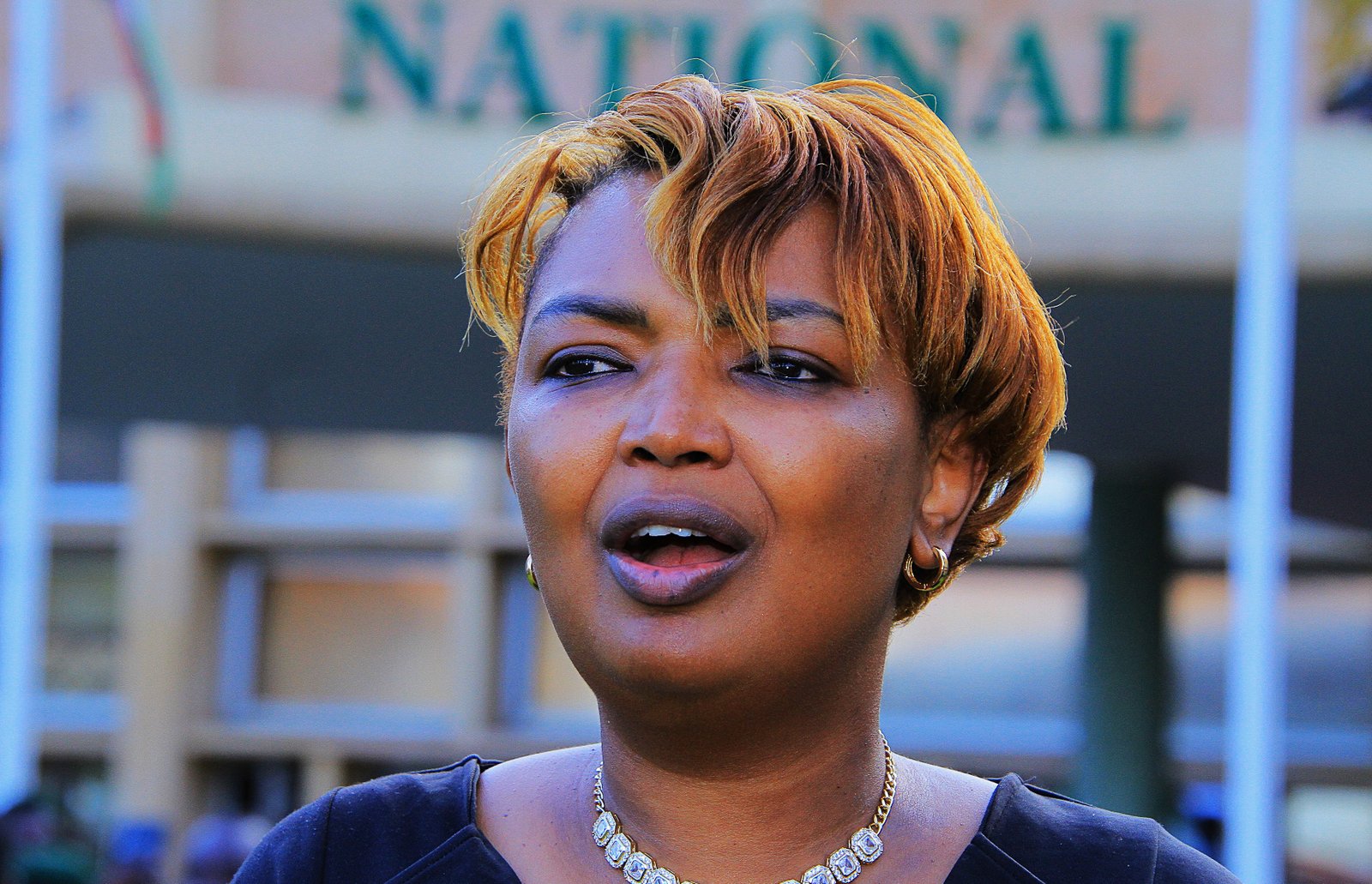 Karen Njeri Nyamu