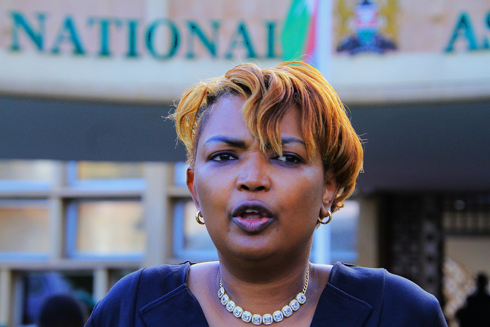 Karen Njeri Nyamu