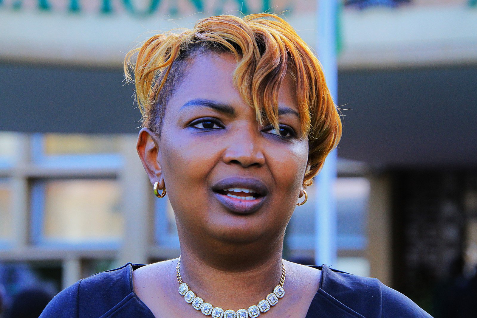 Karen Njeri Nyamu