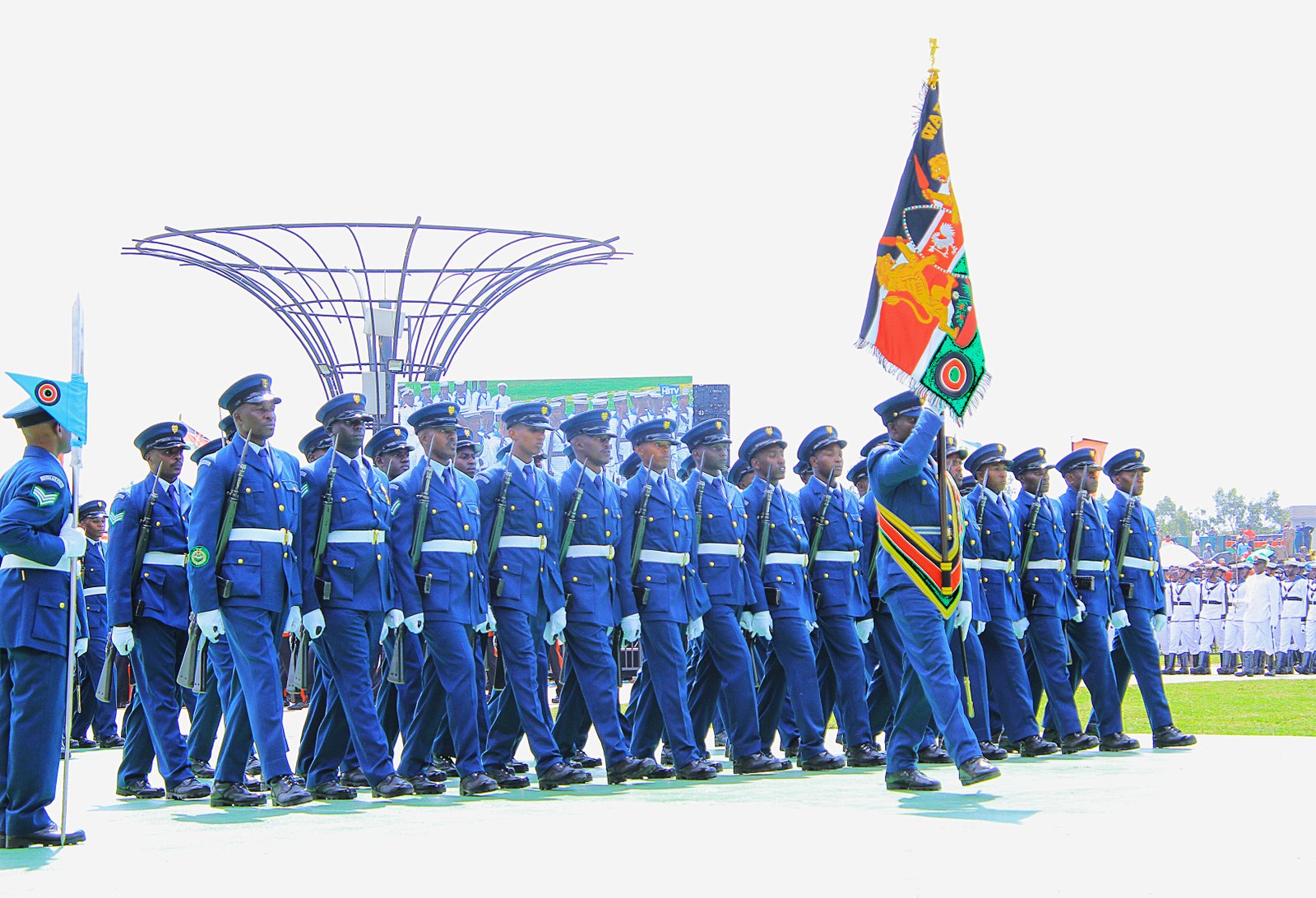 The Kenya Air Force
