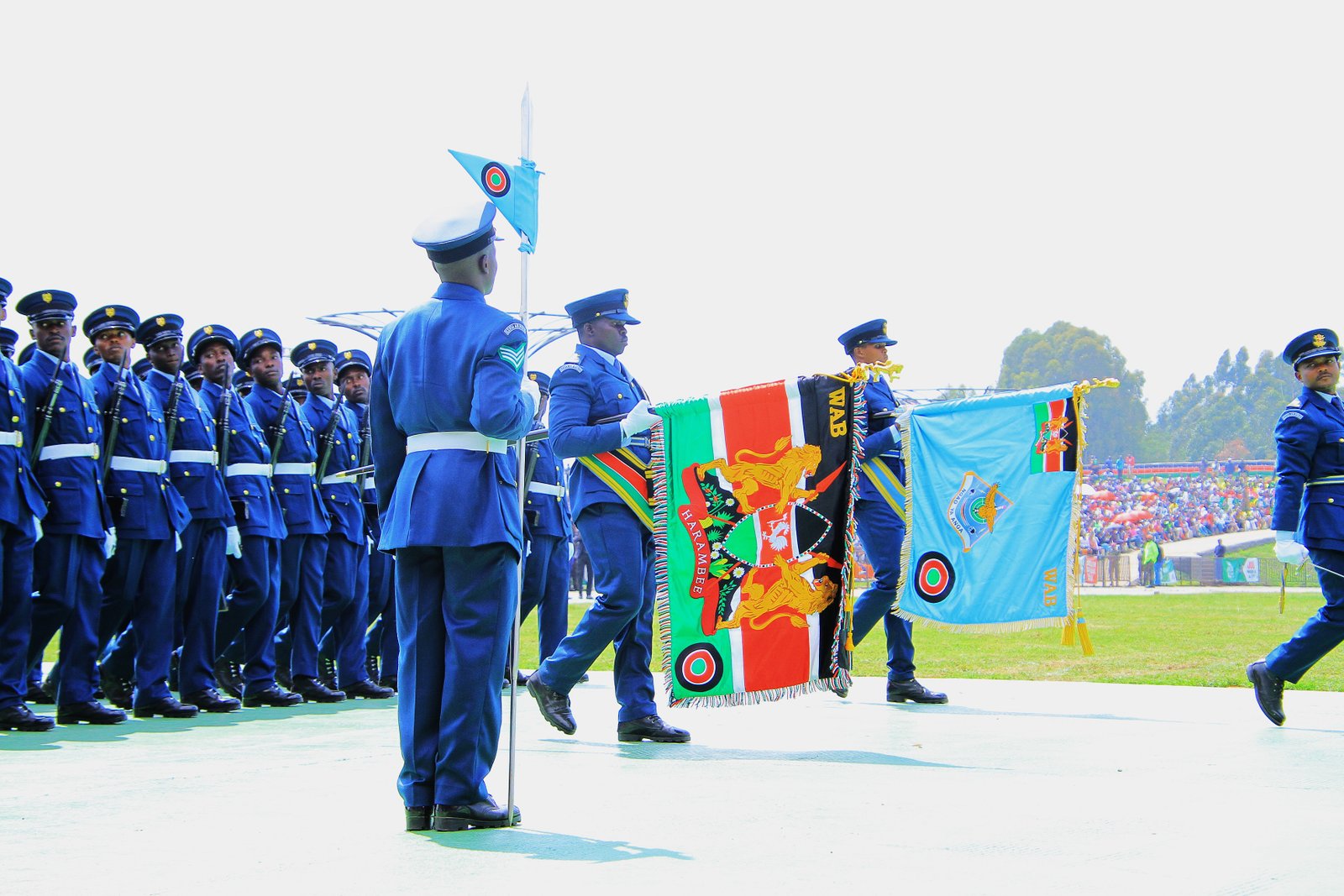 The Kenya Air Force