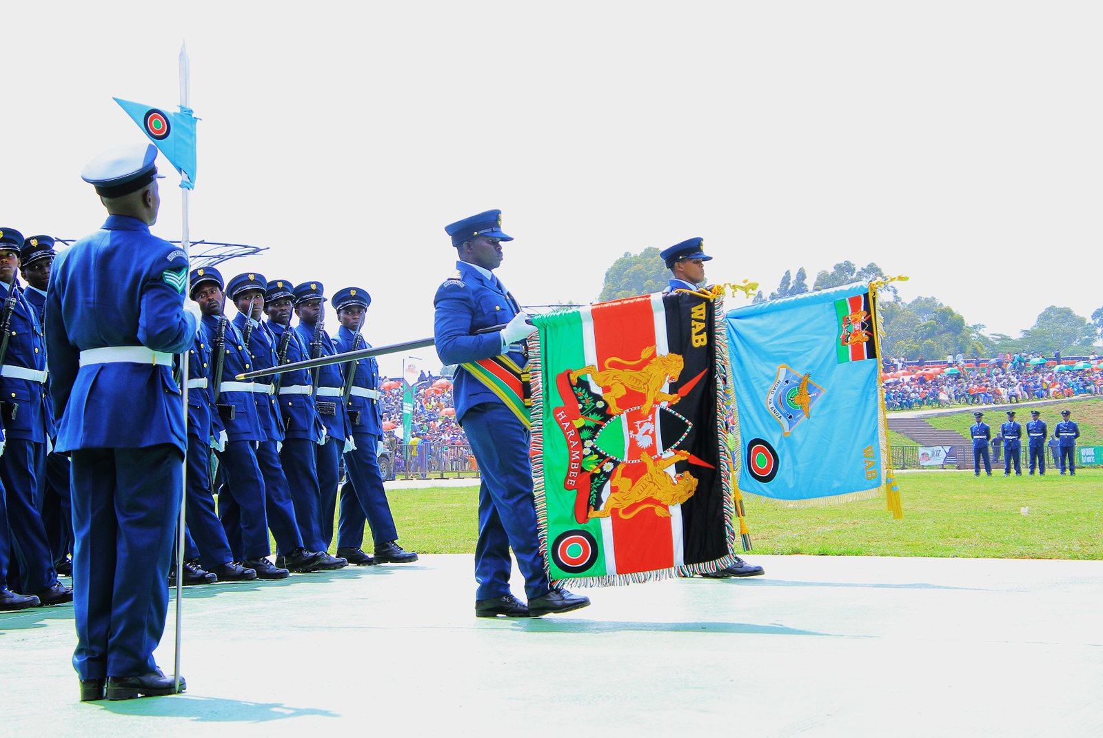The Kenya Air Force