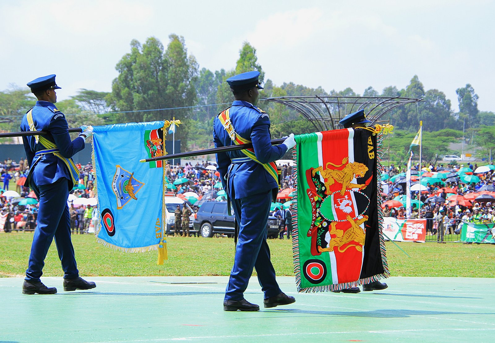 The Kenya Air Force