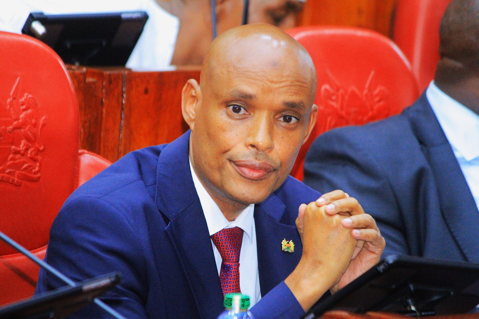 Mohamed Ibrahim Amin