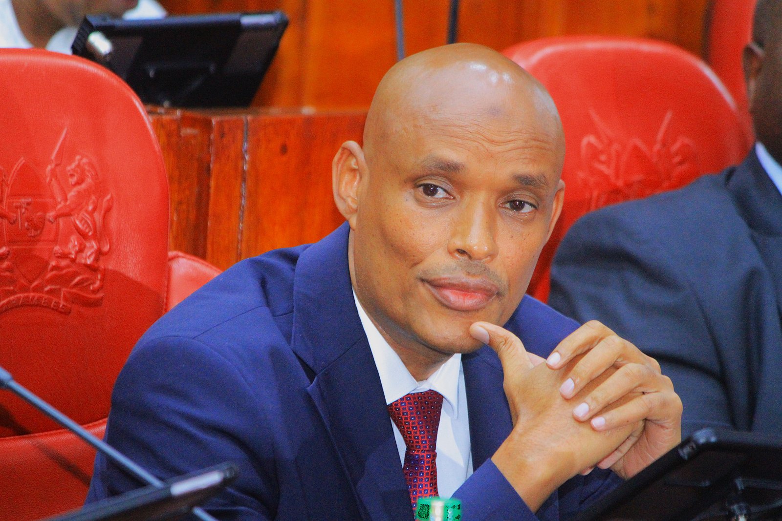 Mohamed Ibrahim Amin