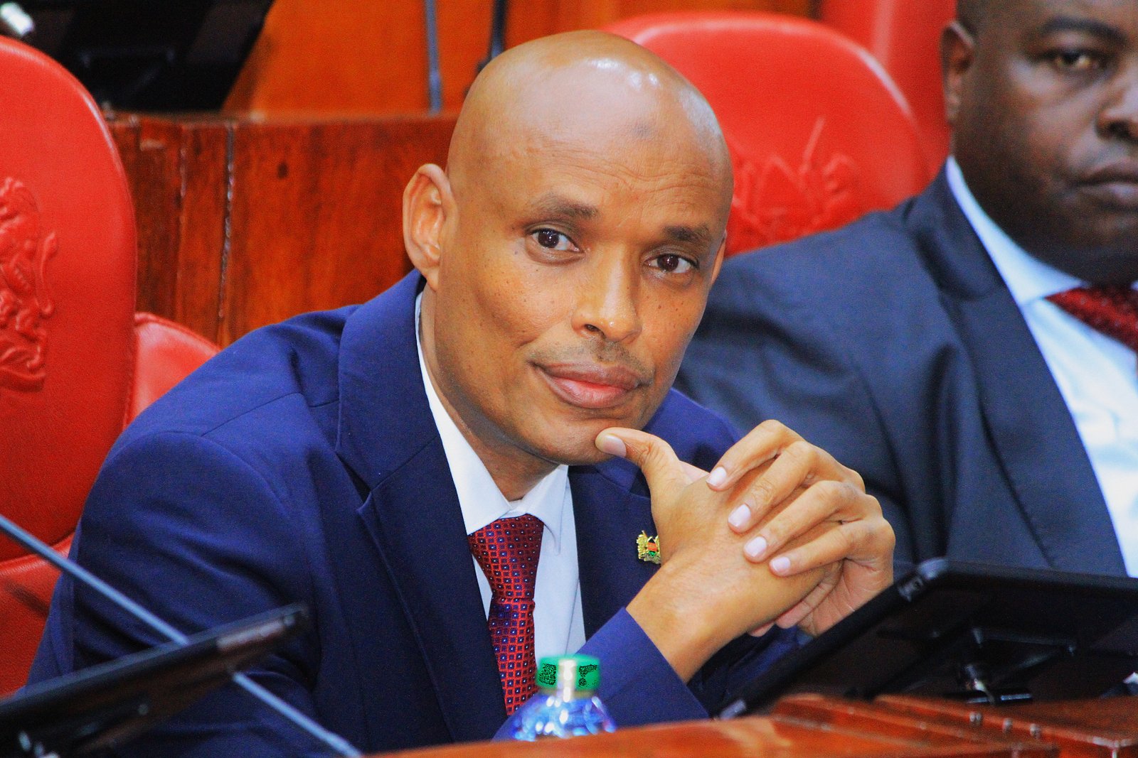 Mohamed Ibrahim Amin