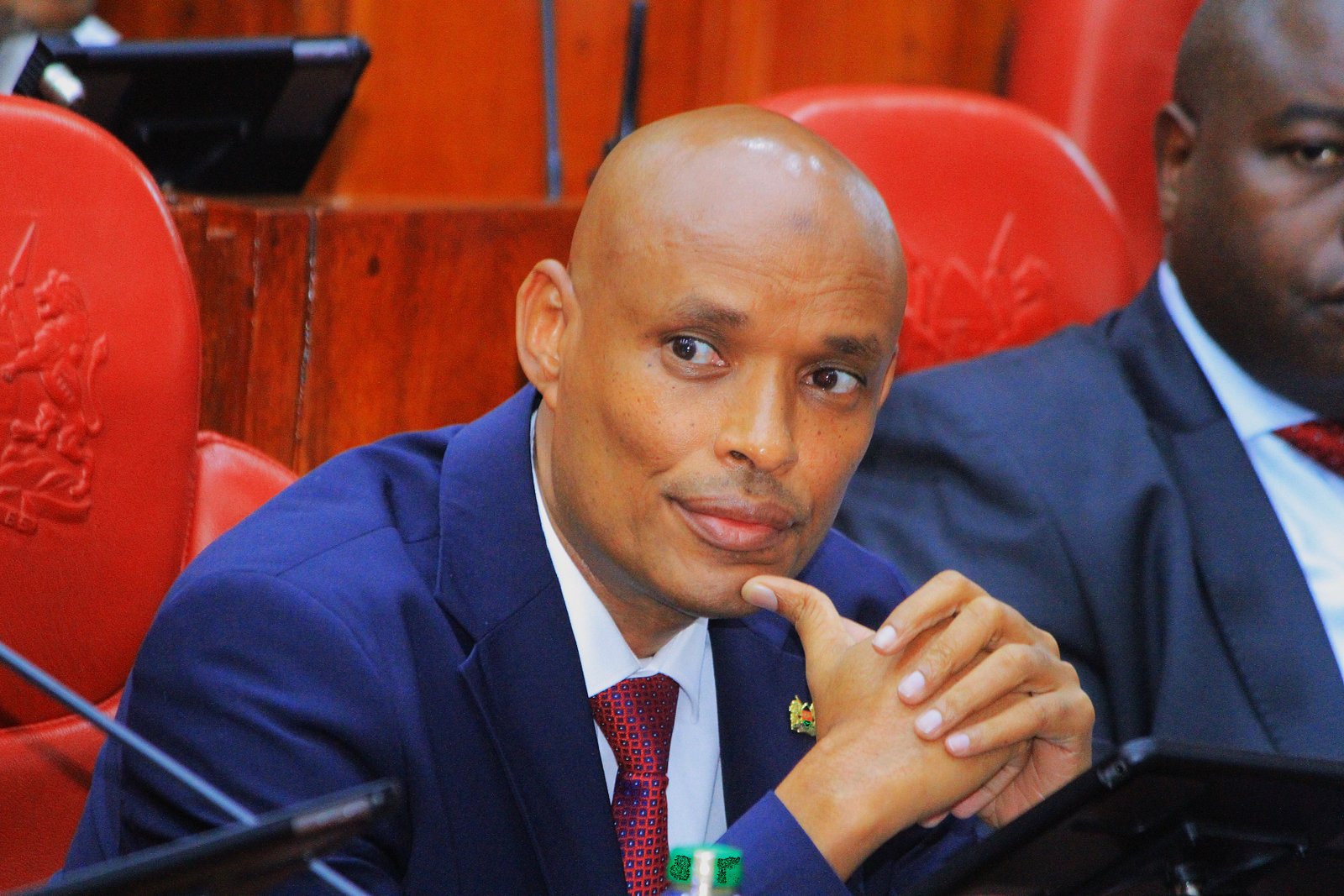 Mohamed Ibrahim Amin