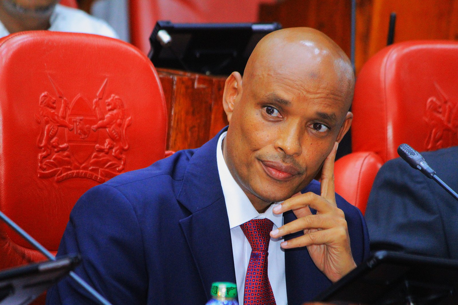 Mohamed Ibrahim Amin
