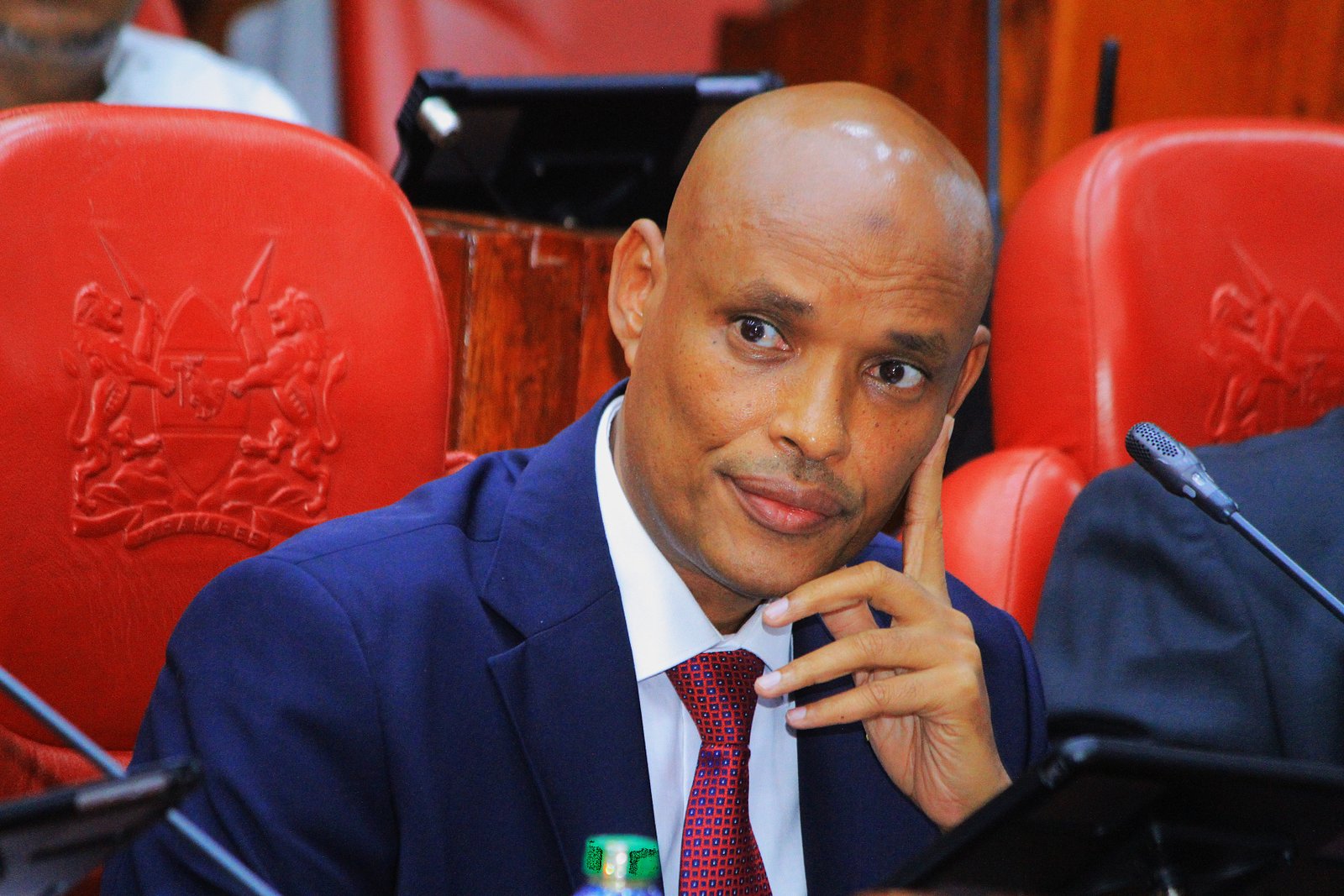 Mohamed Ibrahim Amin