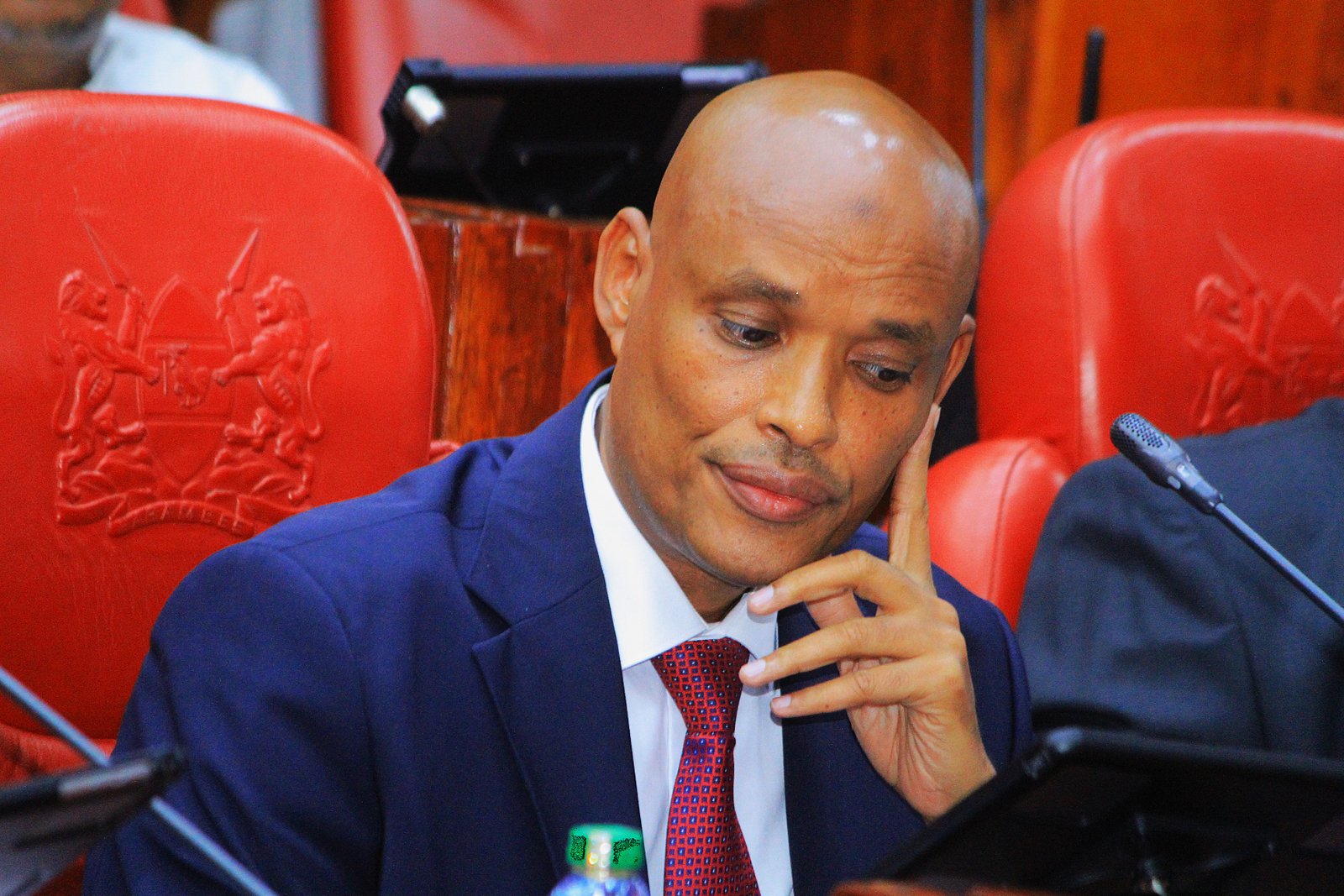 Mohamed Ibrahim Amin