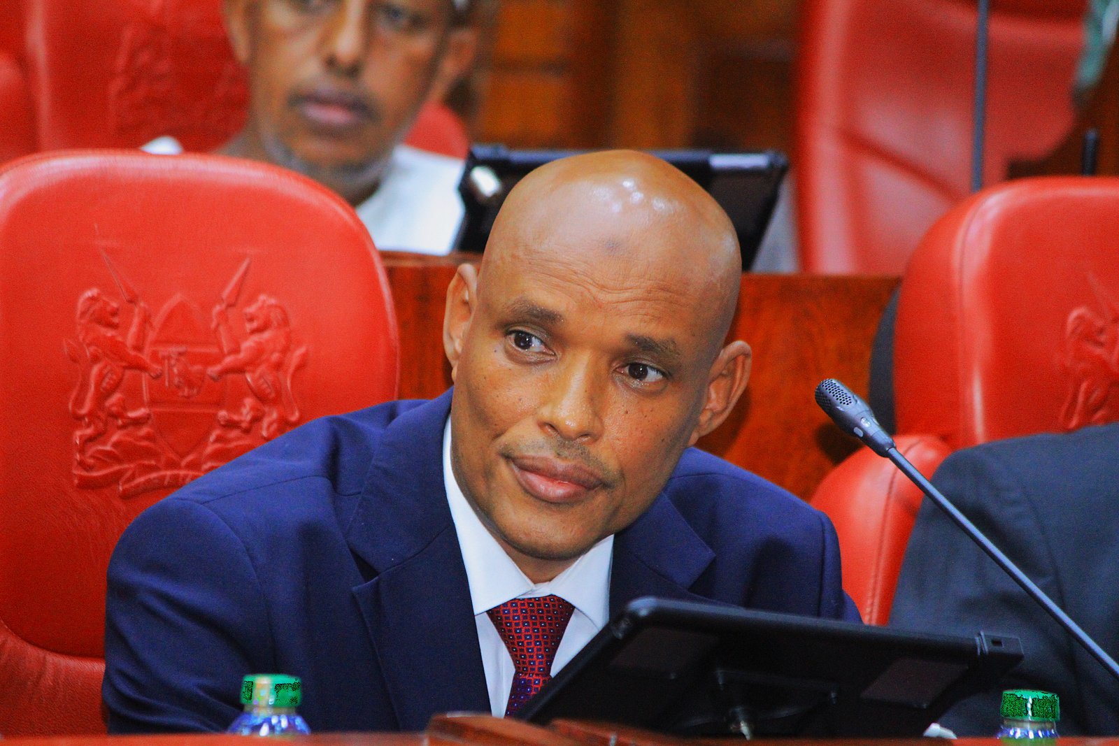 Mohamed Ibrahim Amin