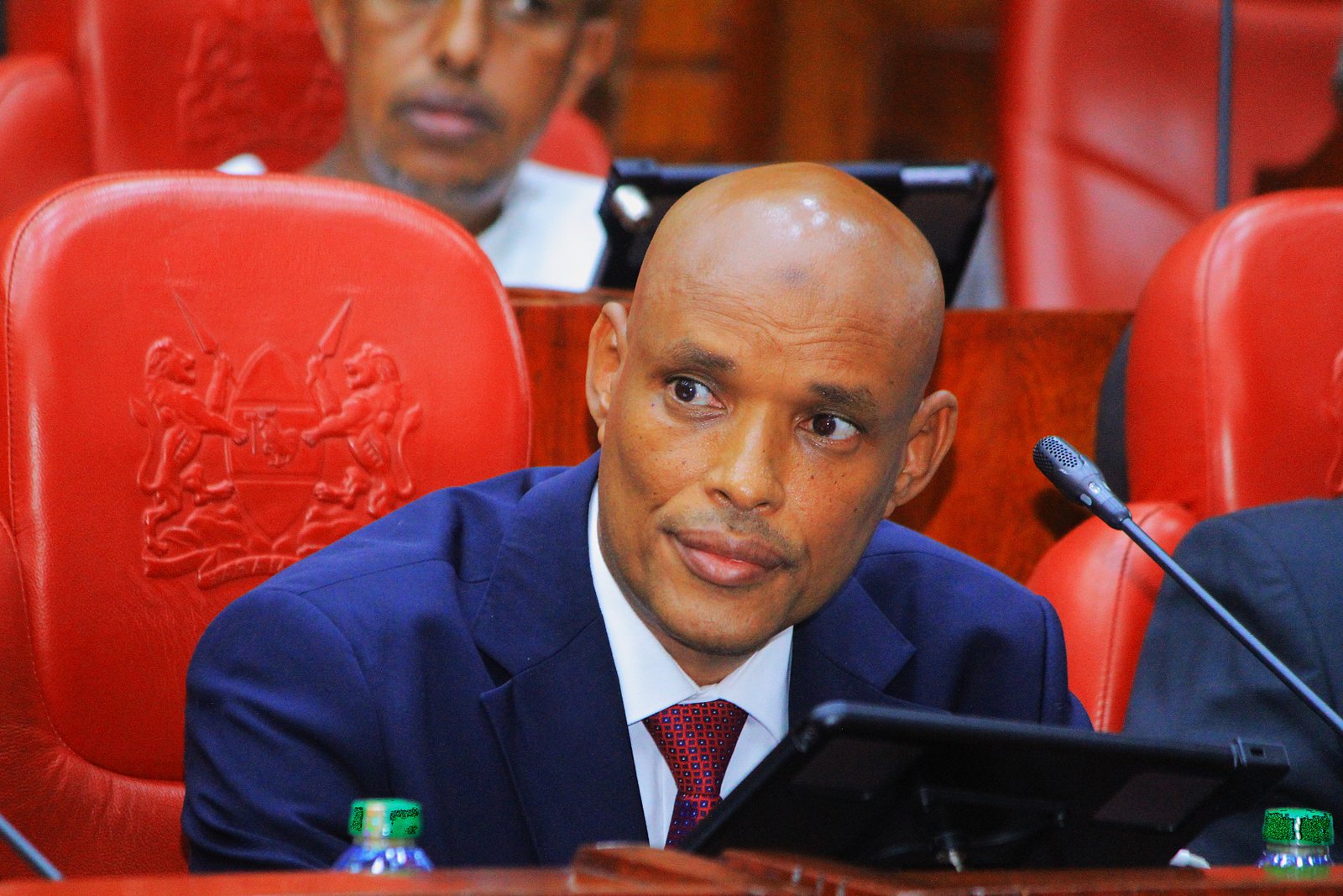 Mohamed Ibrahim Amin