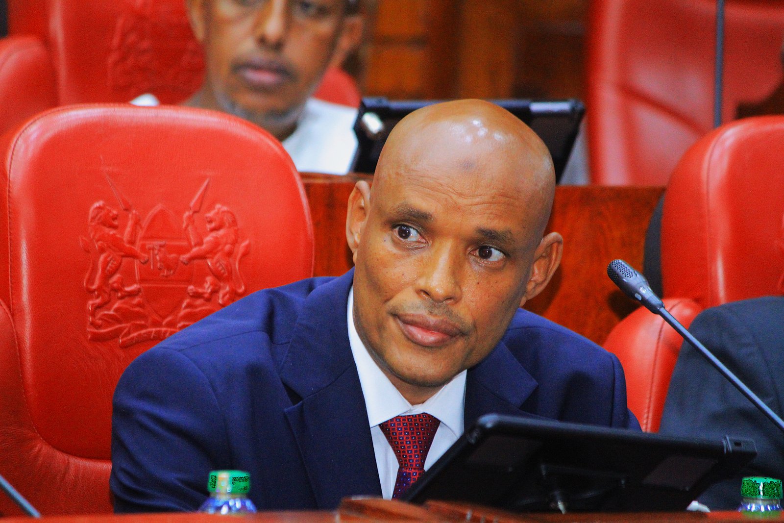 Mohamed Ibrahim Amin