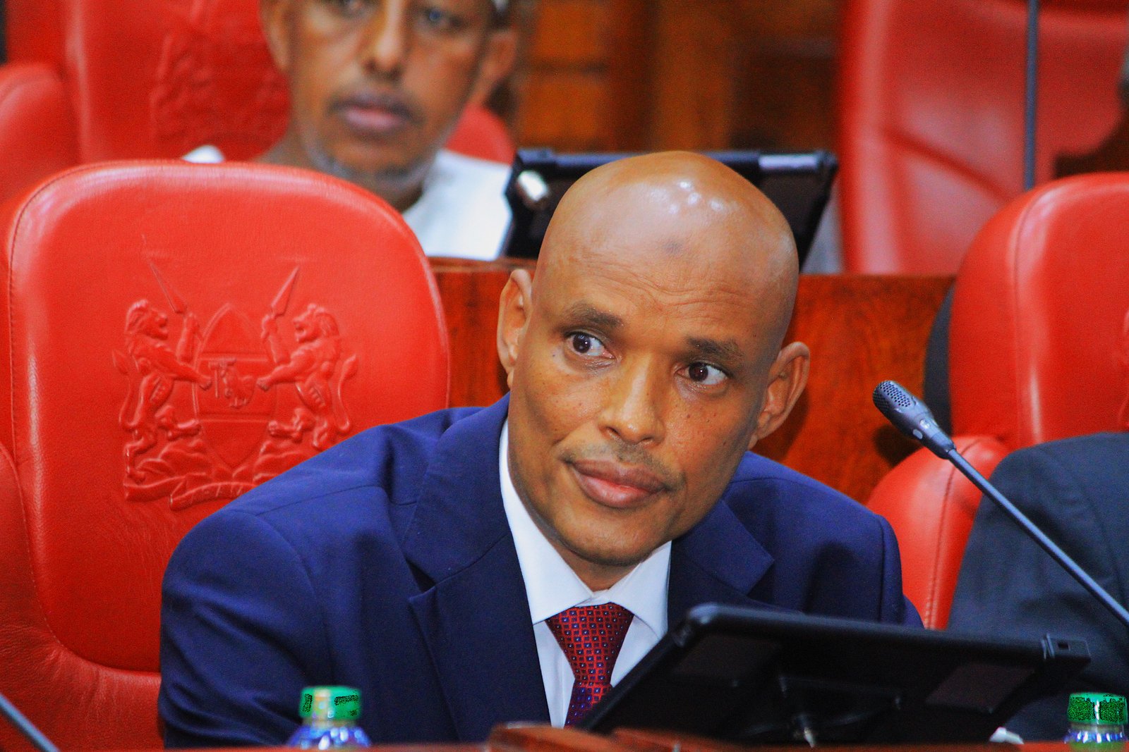 Mohamed Ibrahim Amin