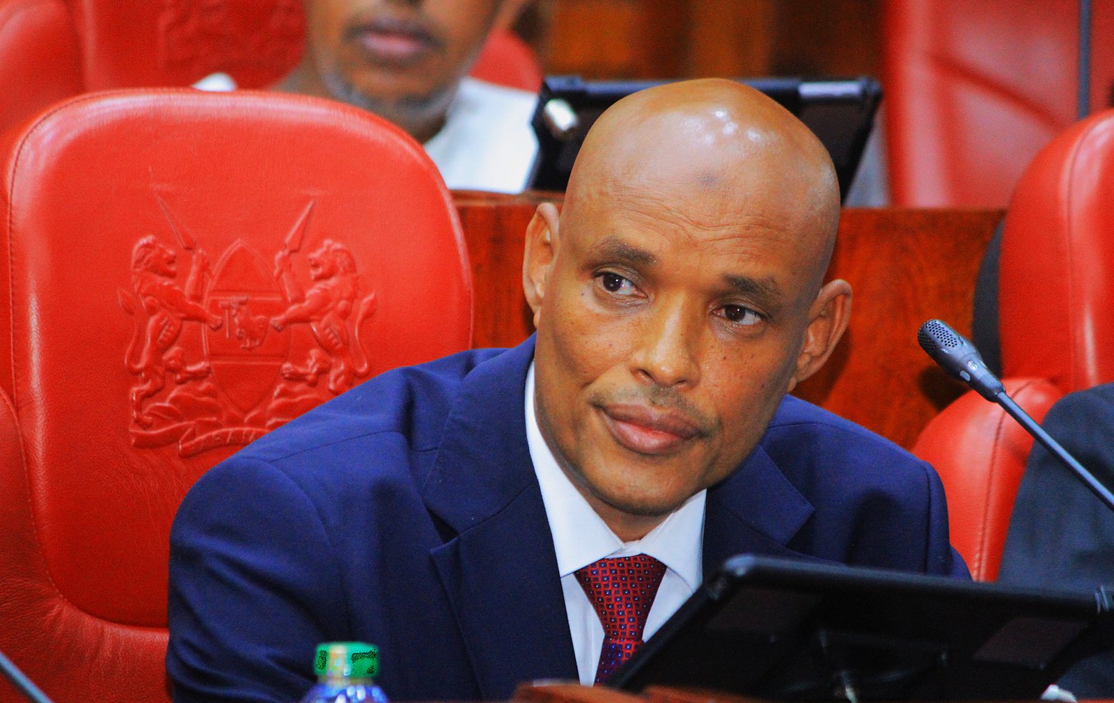 Mohamed Ibrahim Amin
