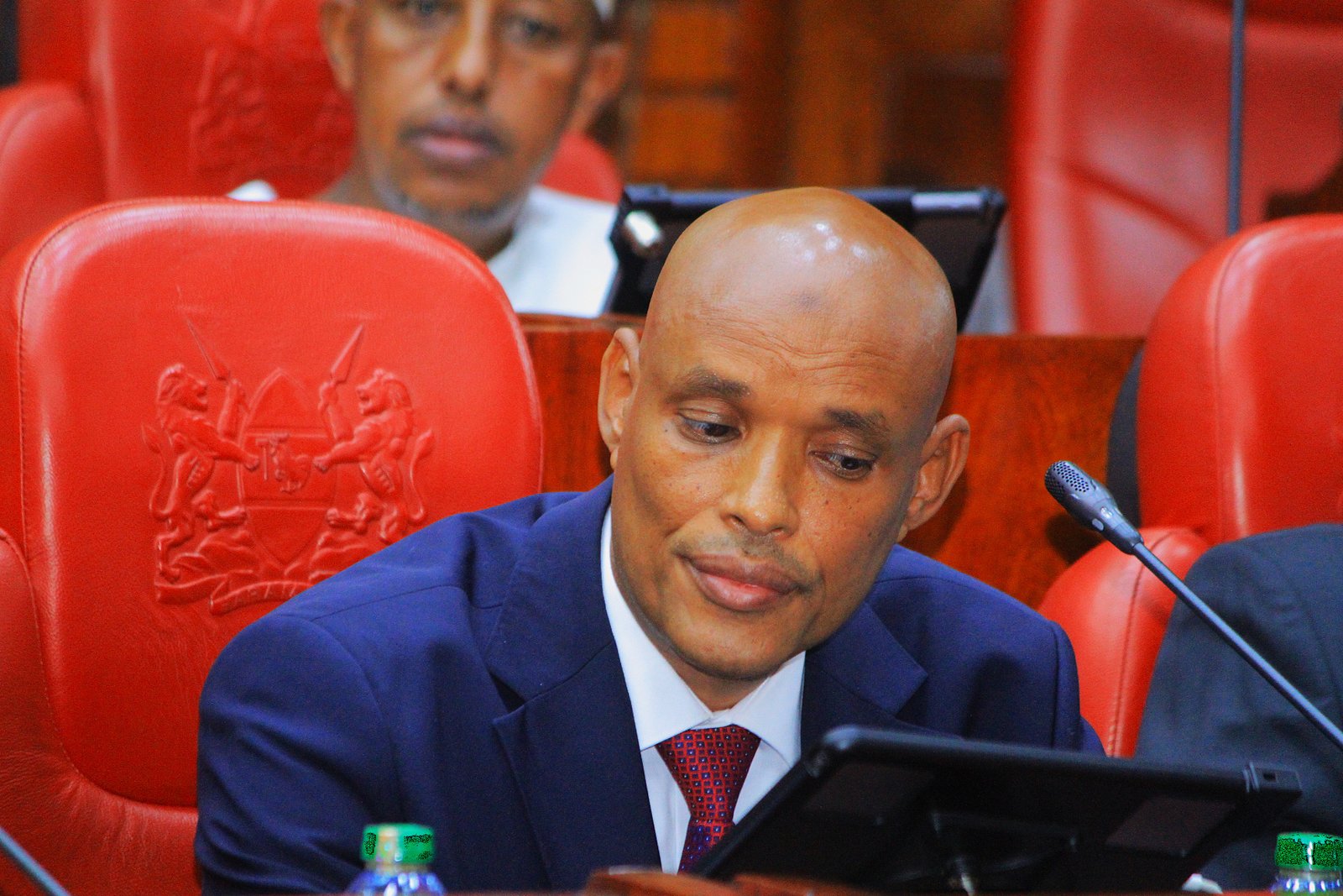 Mohamed Ibrahim Amin