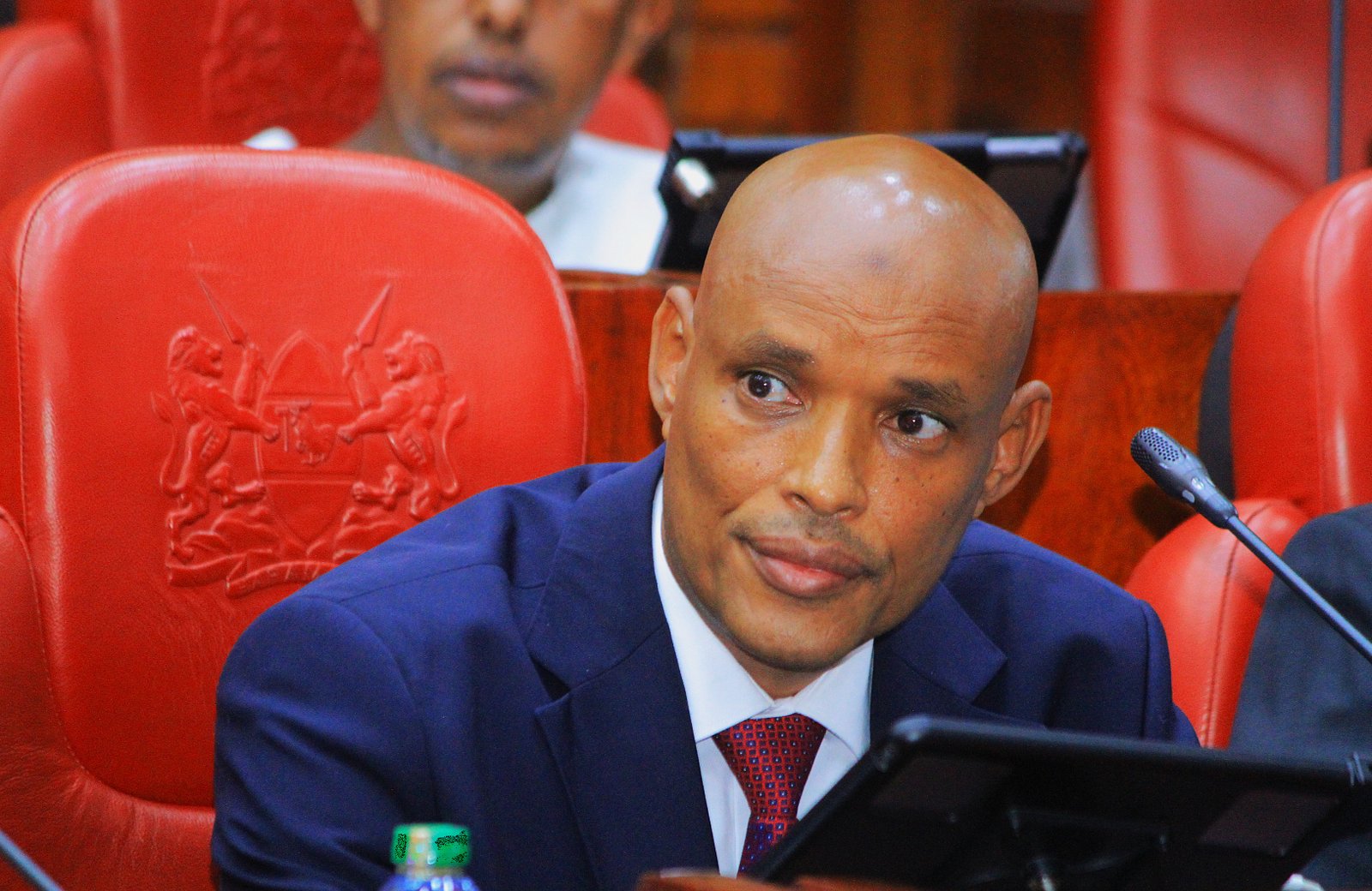 Mohamed Ibrahim Amin